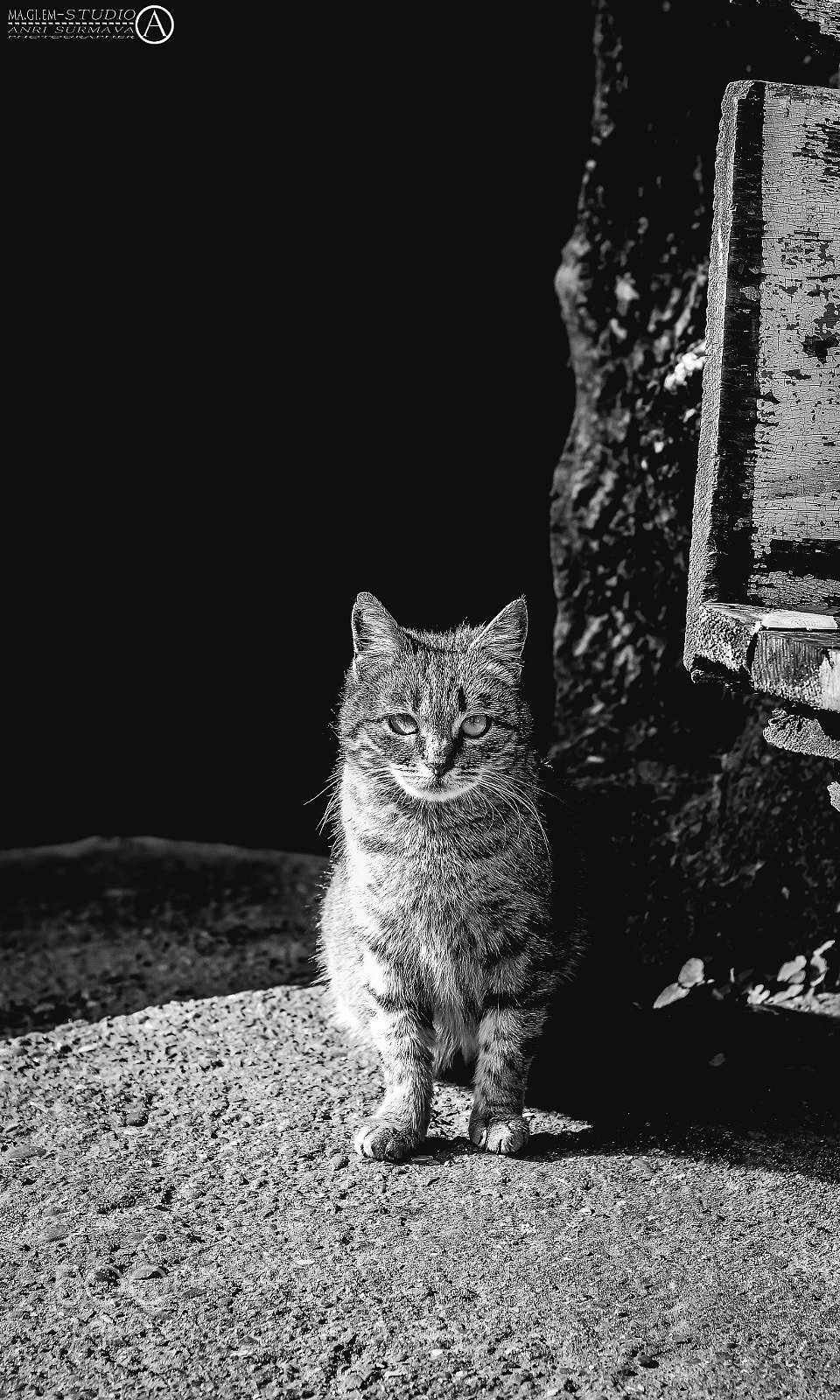 Nikon D7100 sample photo. Untitled photography