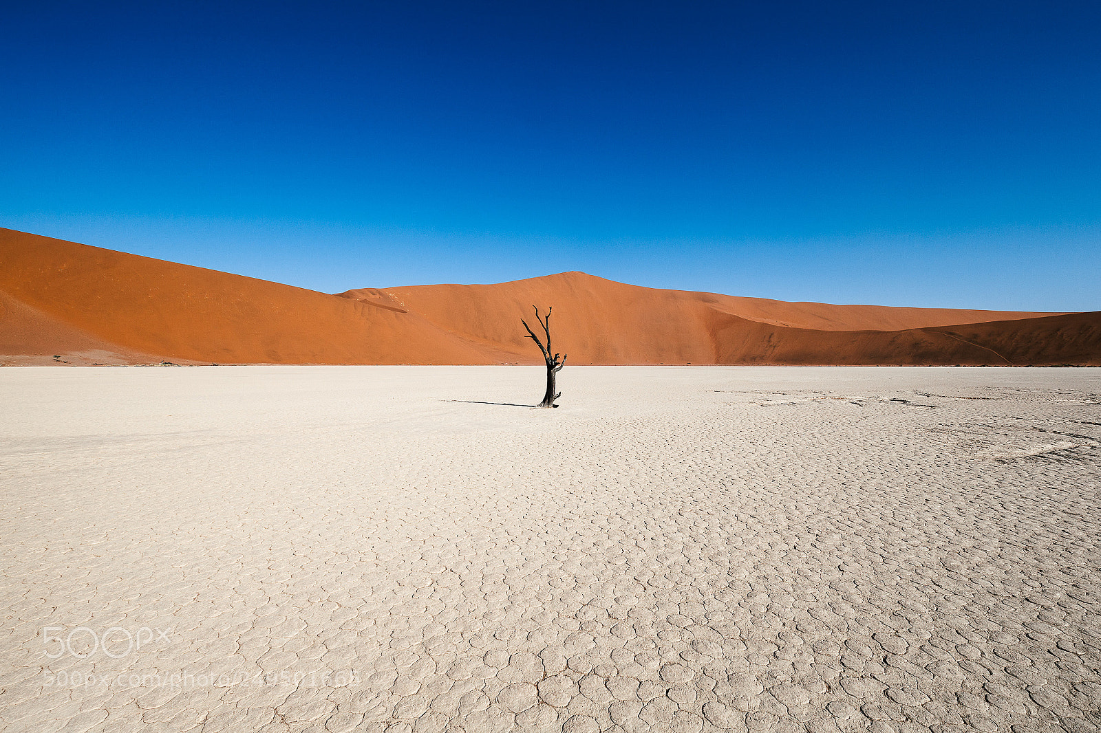 Canon EOS-1D X sample photo. Deadvlei minimalism photography