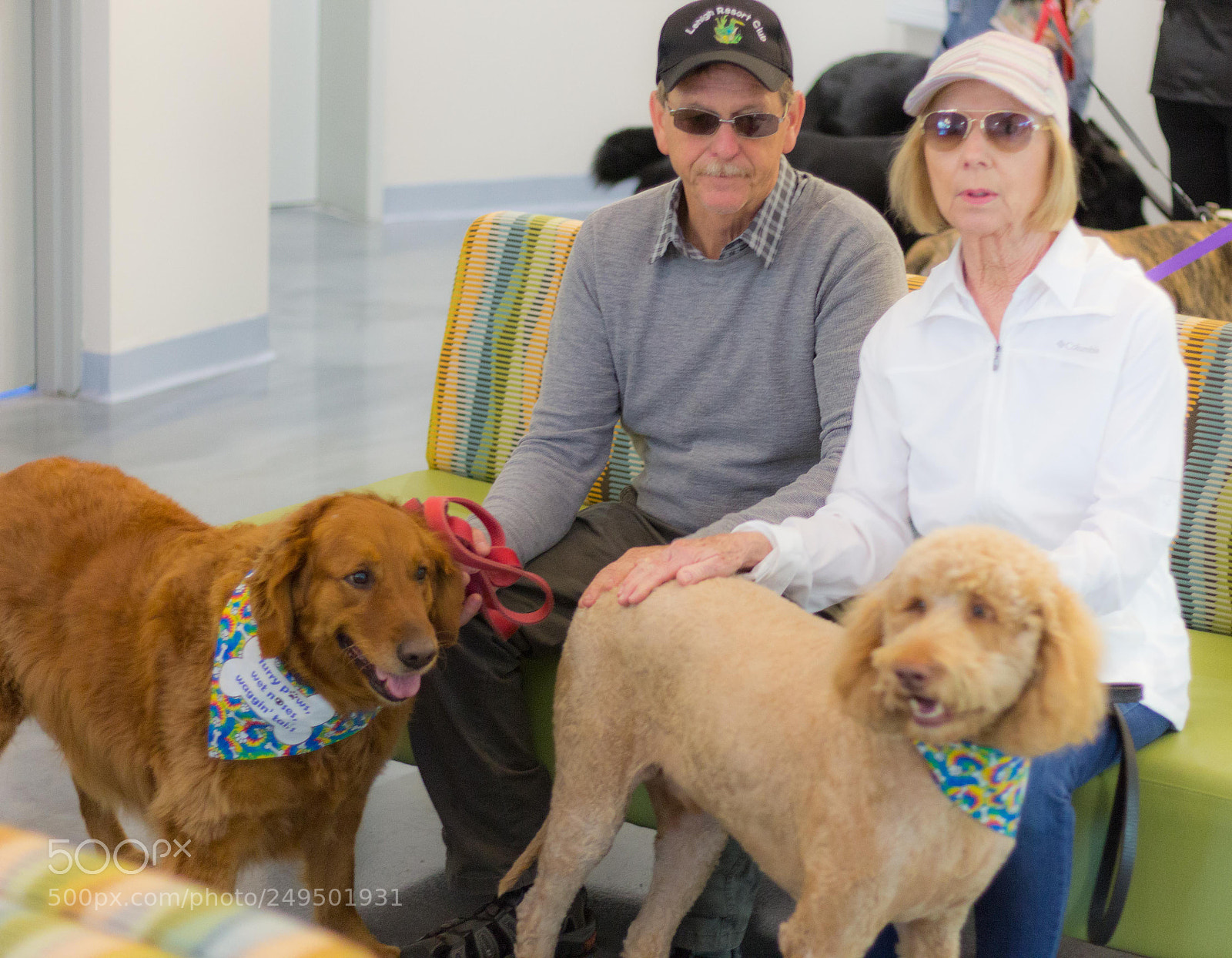 Canon EOS 60D sample photo. Mutt march 2018 photography