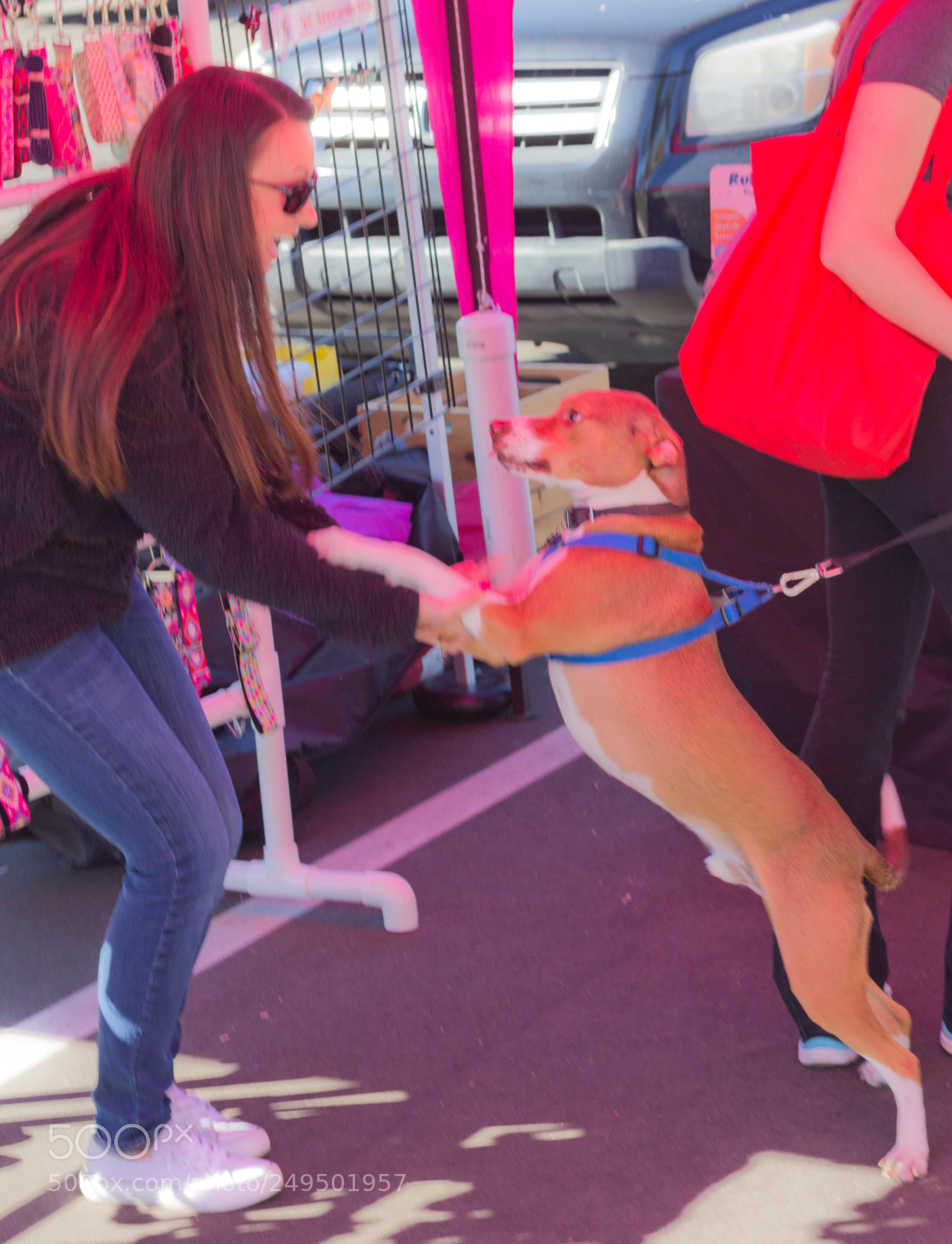 Canon EOS 60D sample photo. Mutt march 2018 photography