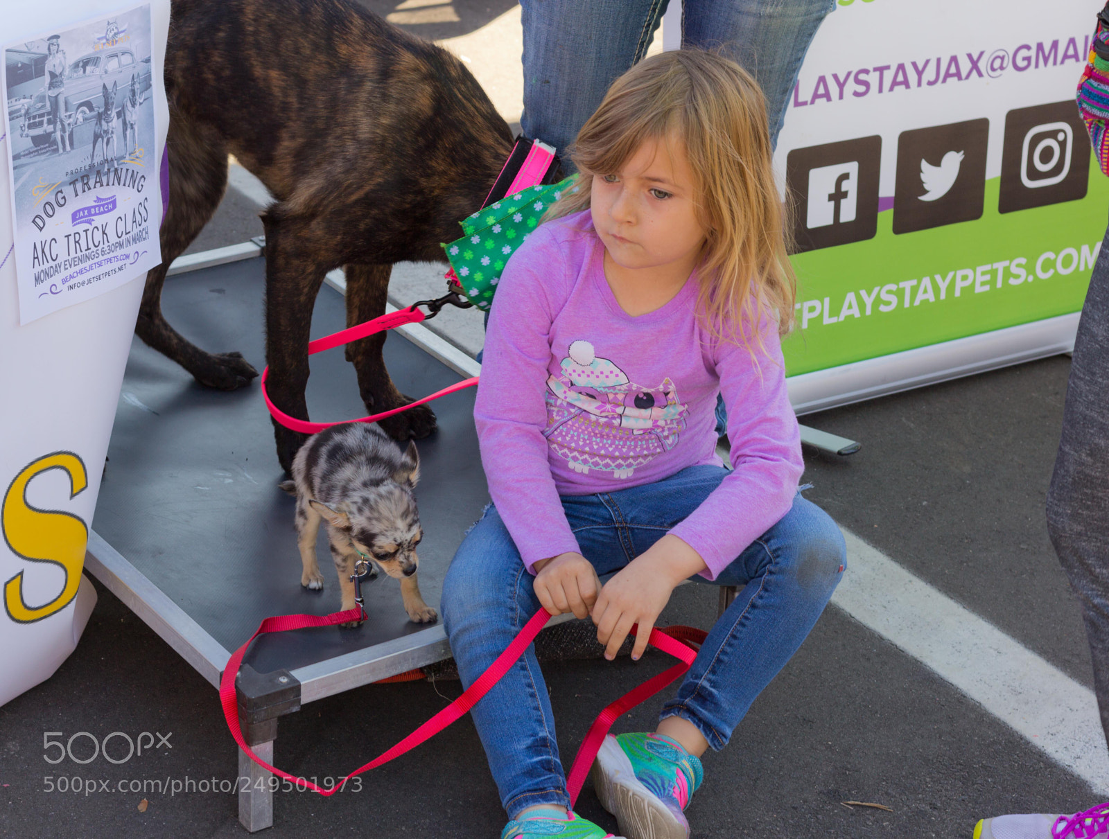 Canon EOS 60D sample photo. Mutt march photography