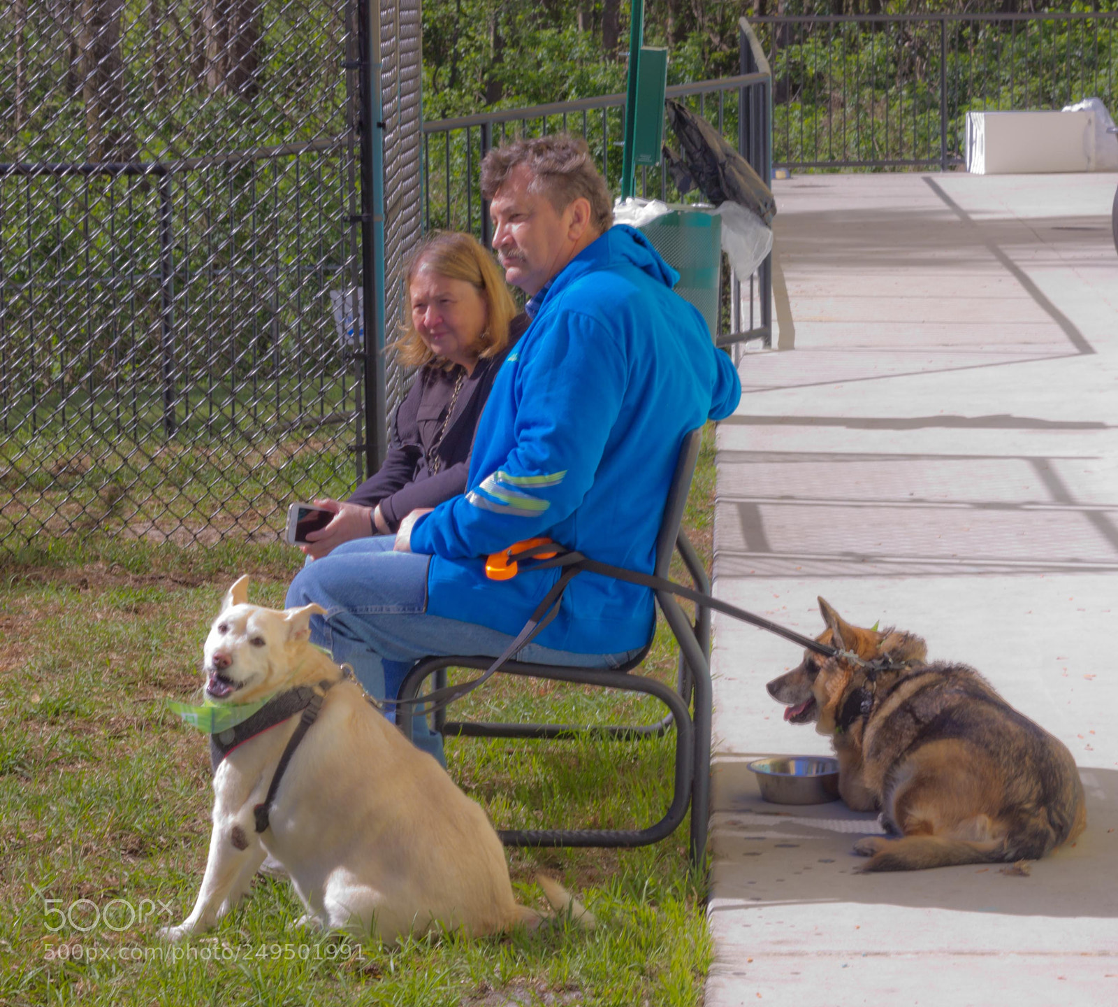 Canon EOS 60D sample photo. Mutt march photography