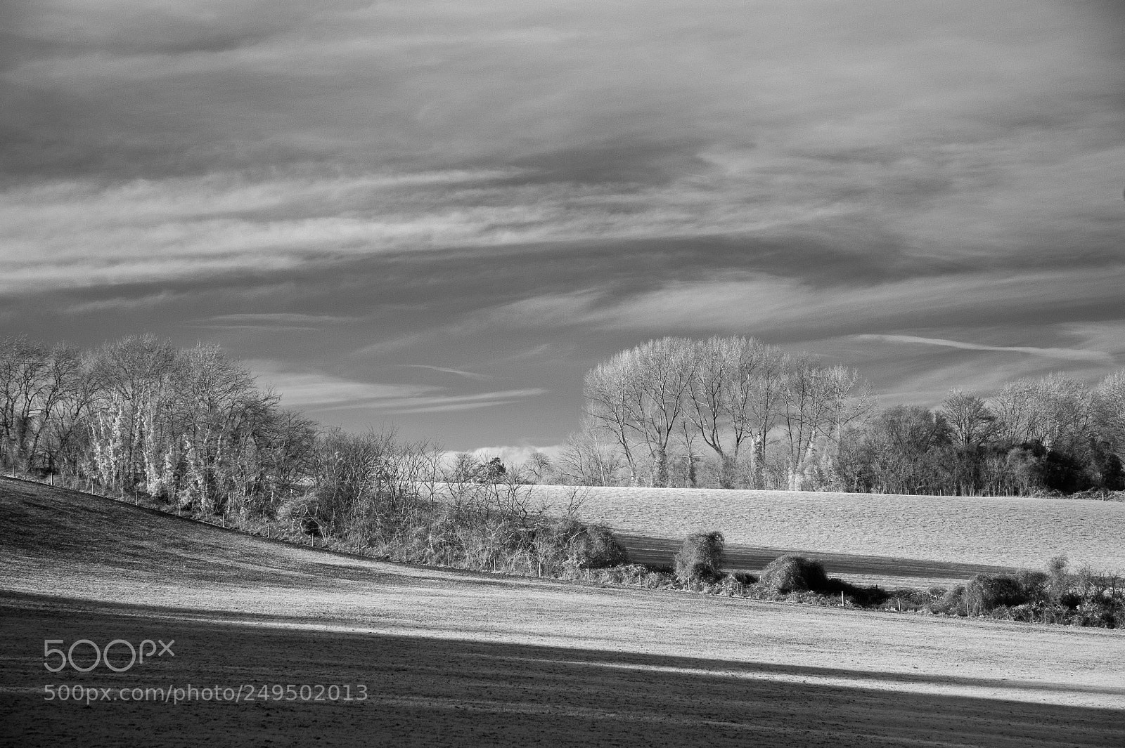 Nikon D700 sample photo. Lowsey meadows #1 photography