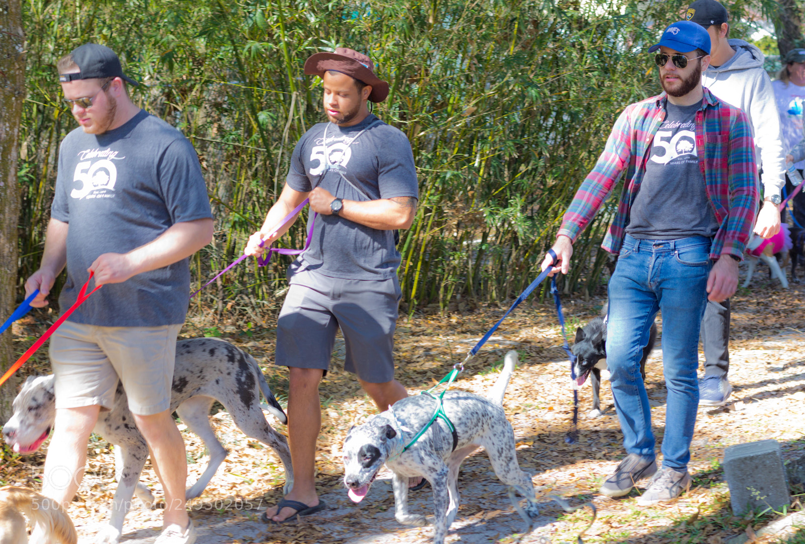 Canon EOS 60D sample photo. Mutt march photography
