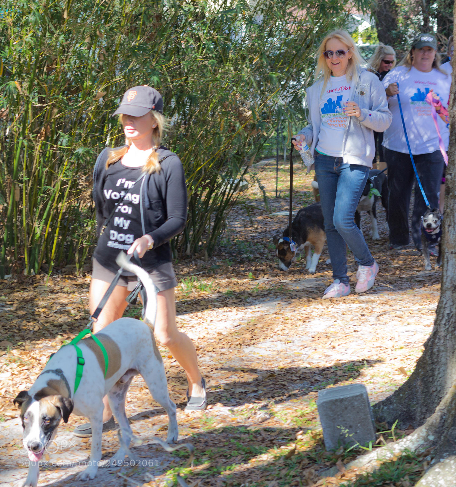 Canon EOS 60D sample photo. Mutt march photography