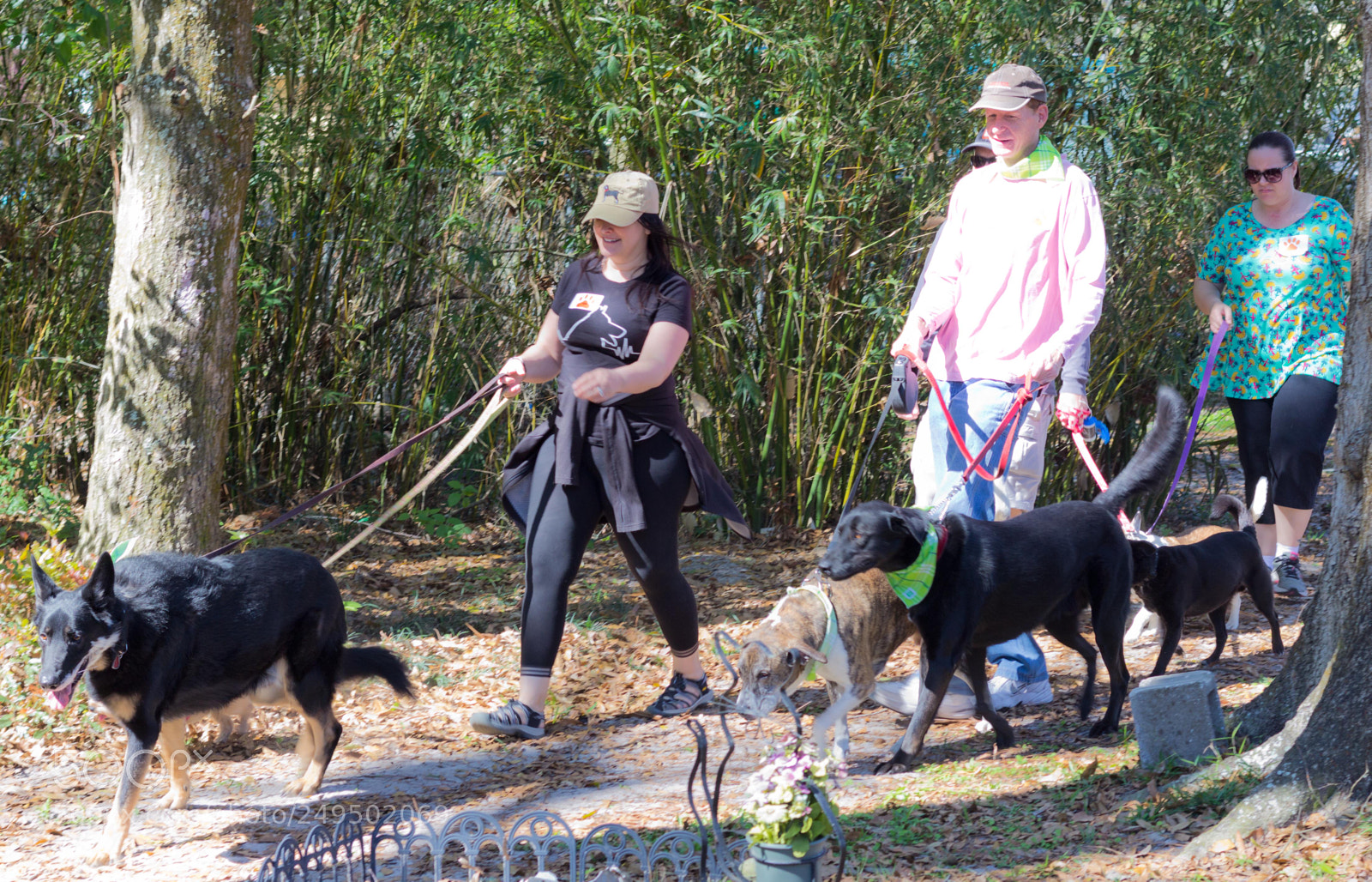 Canon EOS 60D sample photo. Mutt march photography
