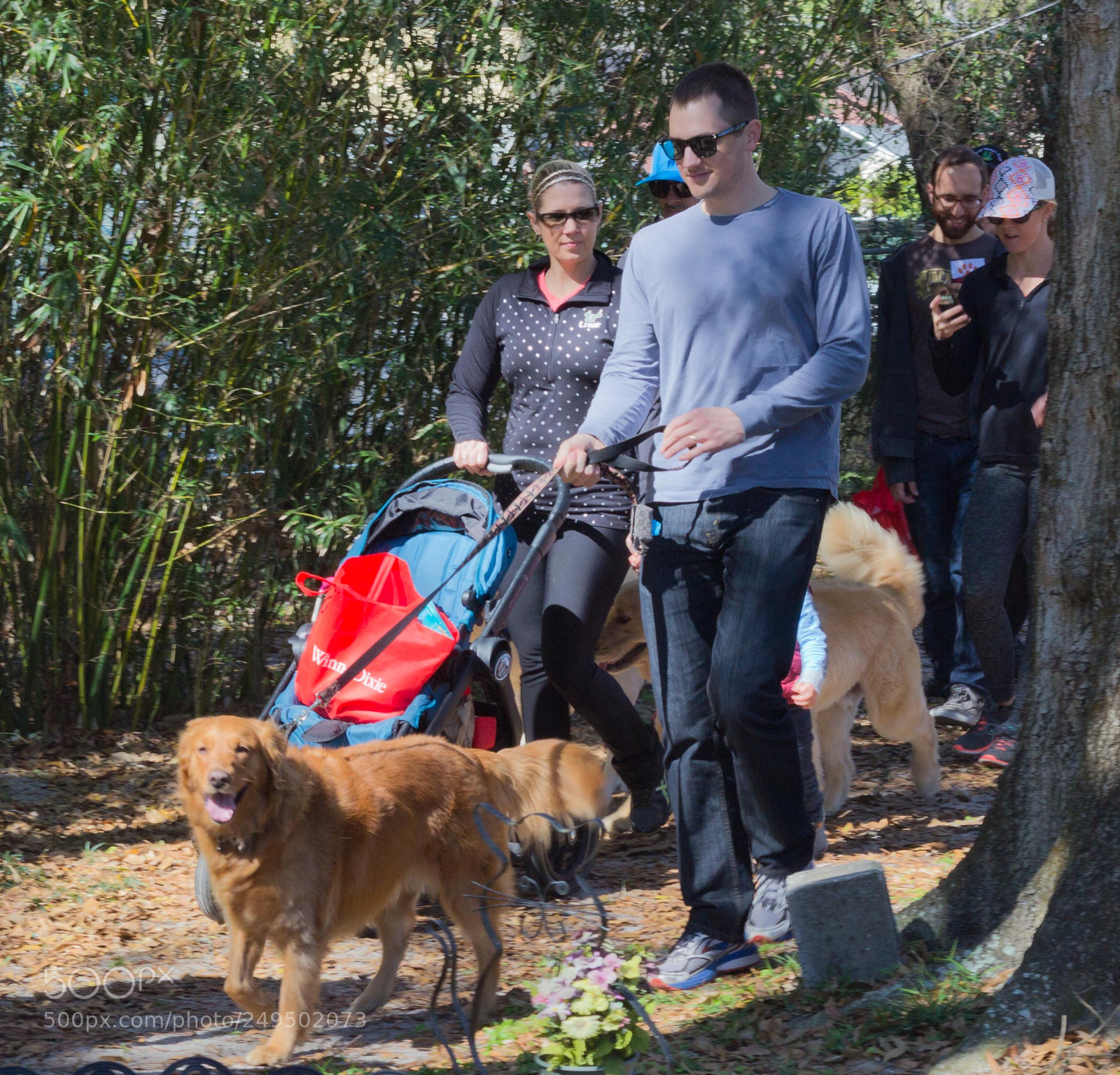 Canon EOS 60D sample photo. Mutt march photography
