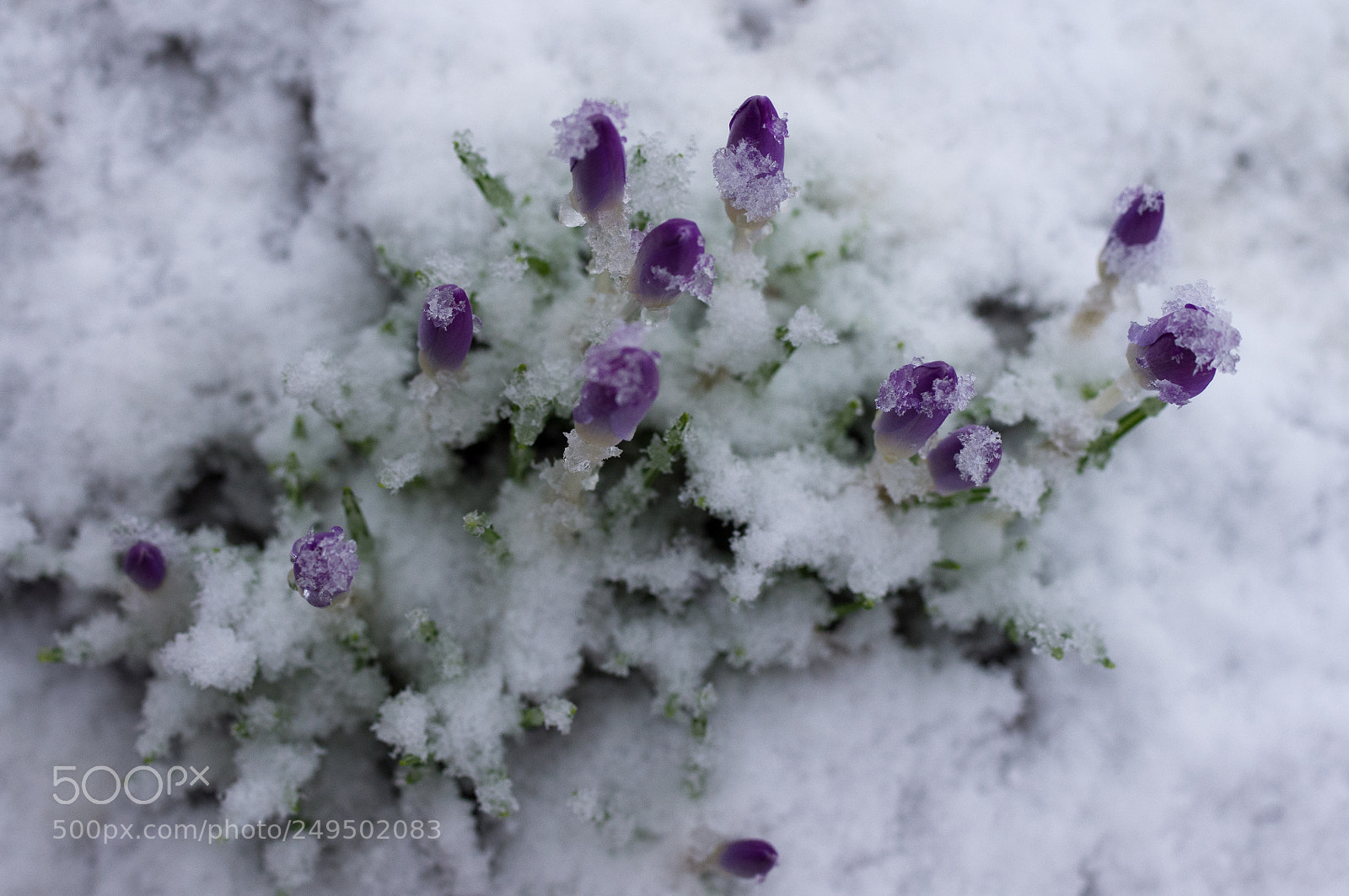 Pentax K-x sample photo. Confusing times photography
