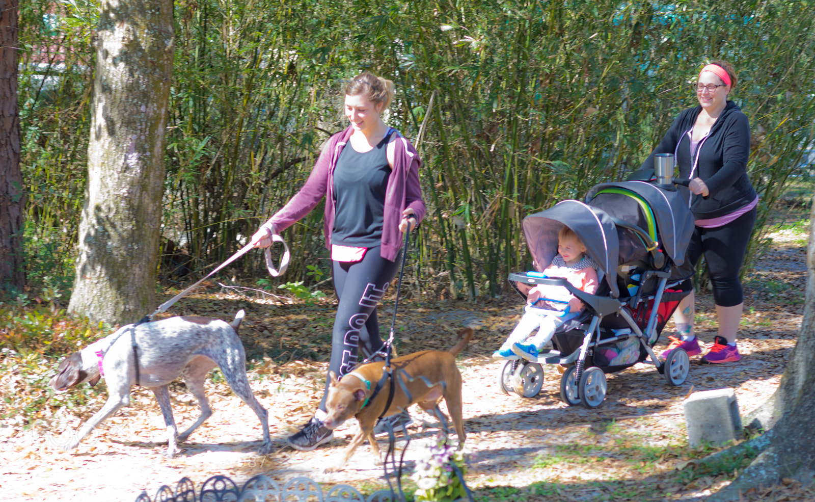 Canon EOS 60D sample photo. Mutt march photography