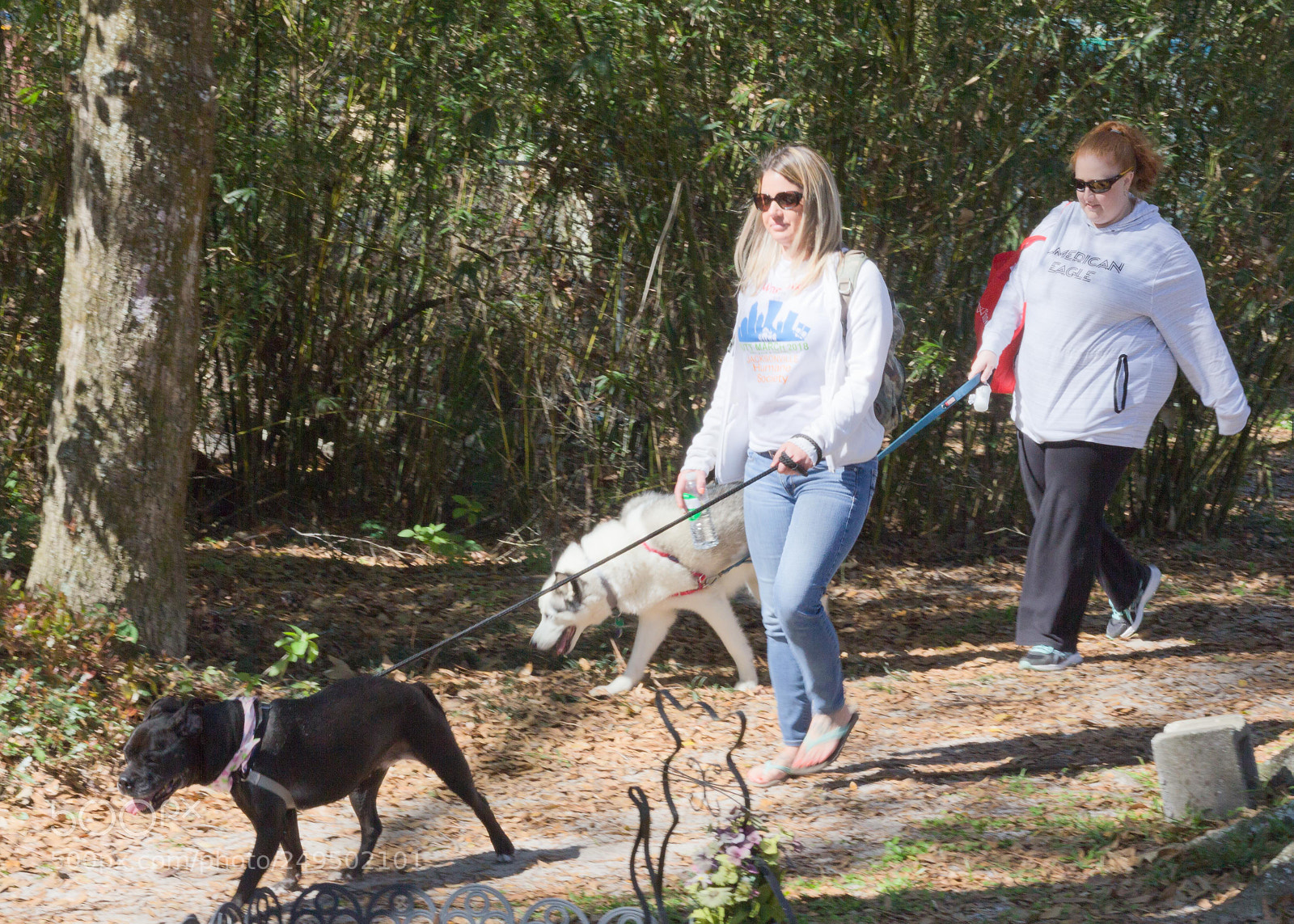 Canon EOS 60D sample photo. Mutt march photography
