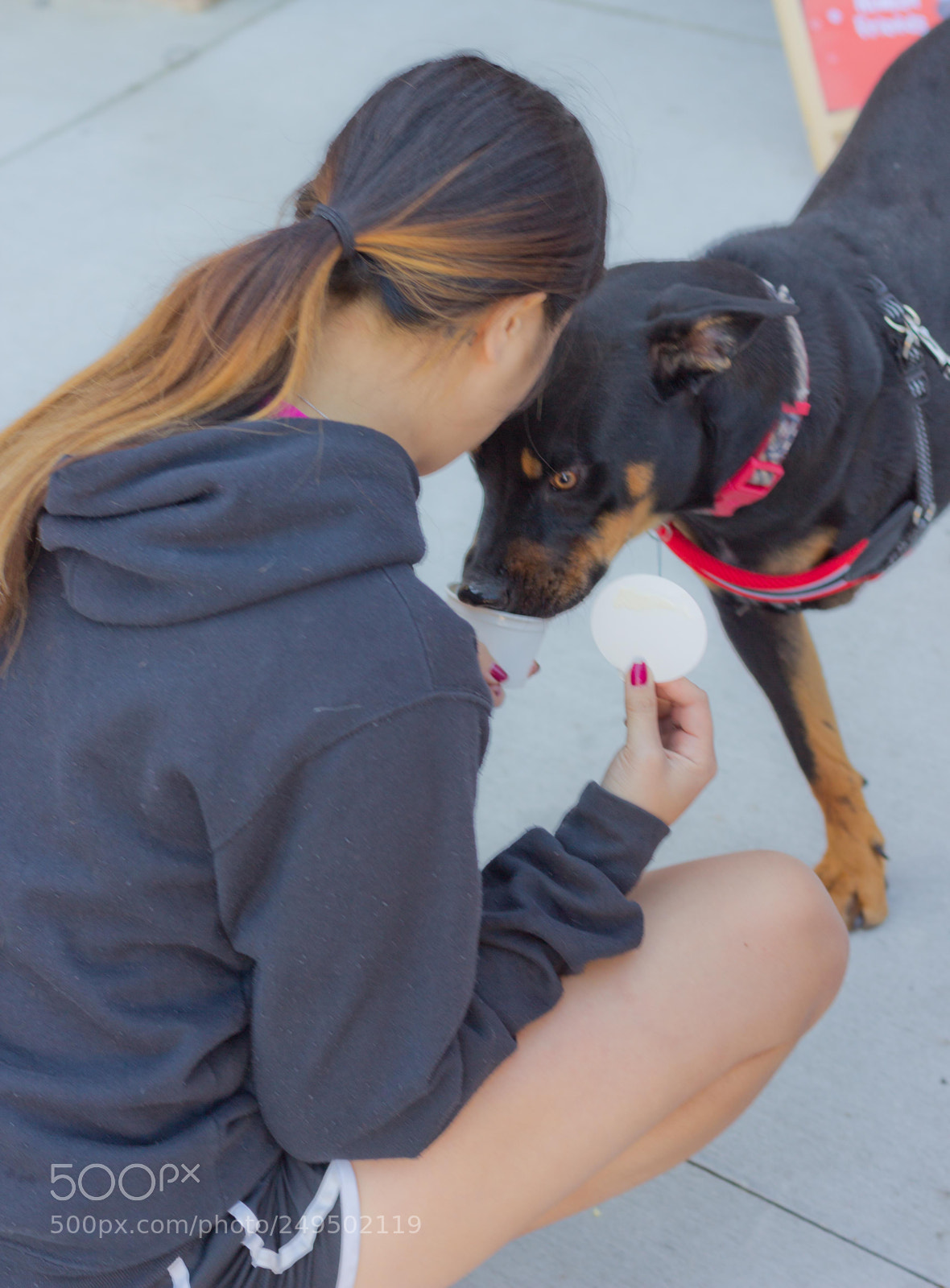 Canon EOS 60D sample photo. Mutt march photography