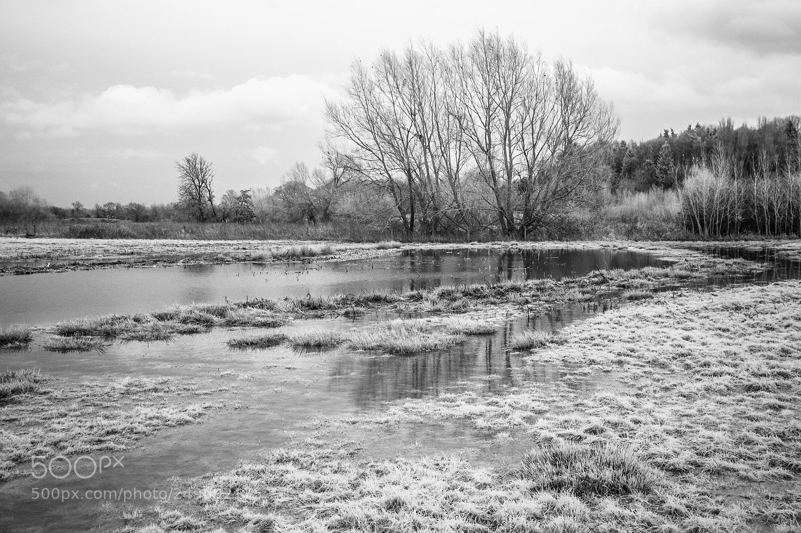 Nikon D700 sample photo. Lowsey mere #1 photography