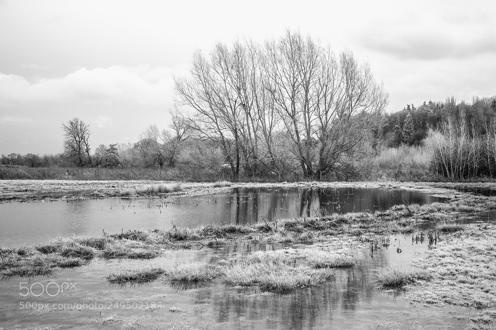 Nikon D700 sample photo. Lowsey mere #2 photography