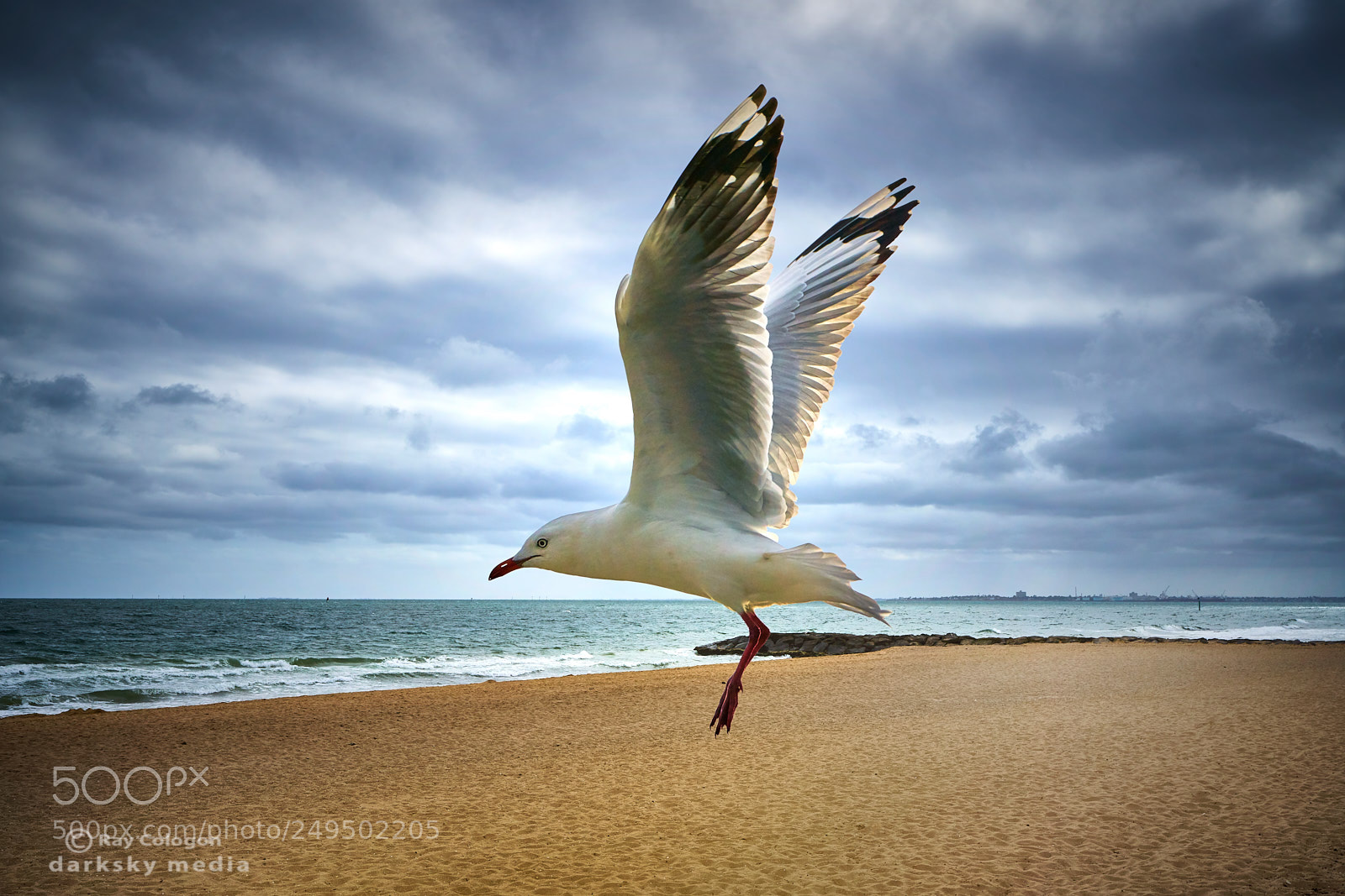 Sony a7R III sample photo. Sand landing photography