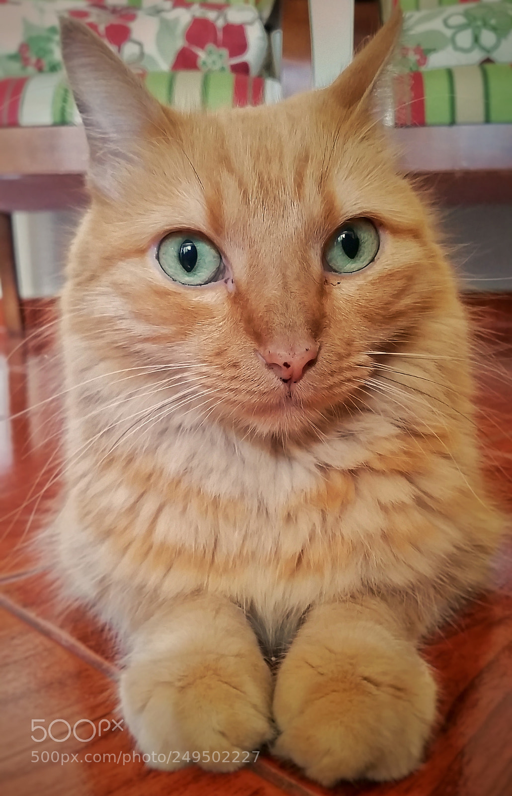 Samsung Galaxy S5 sample photo. Untitled photography