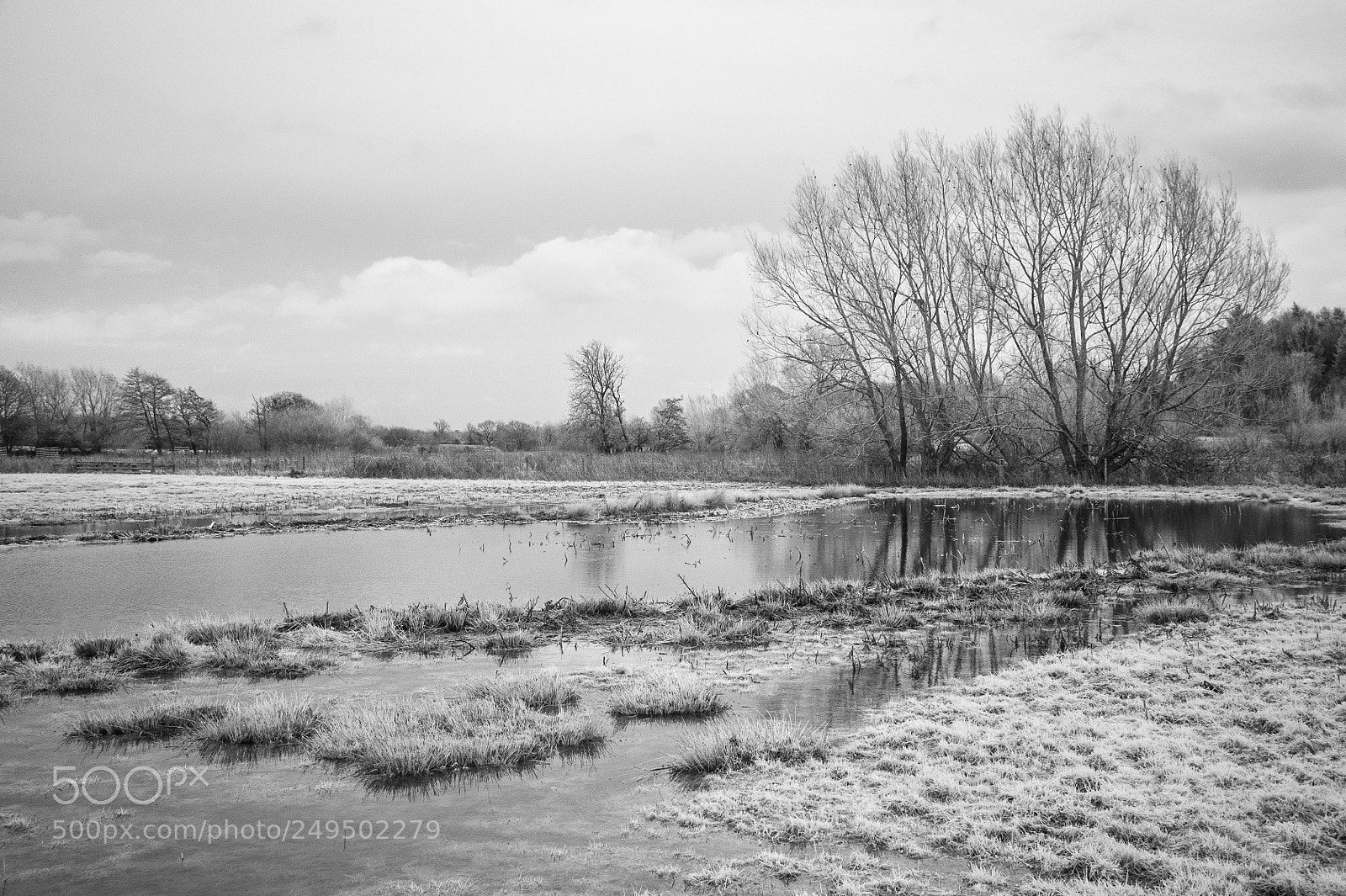 Nikon D700 sample photo. Lowsey mere #3 photography