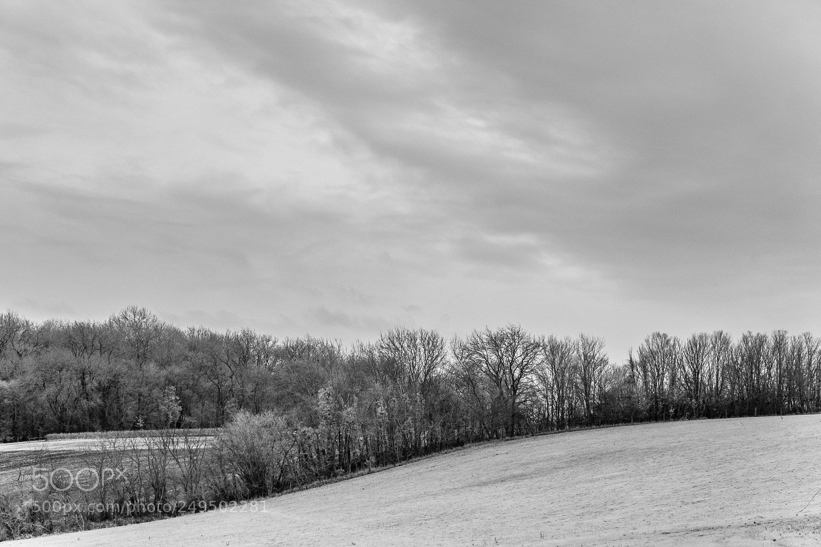 Nikon D700 sample photo. Lowsey meadows #3 photography