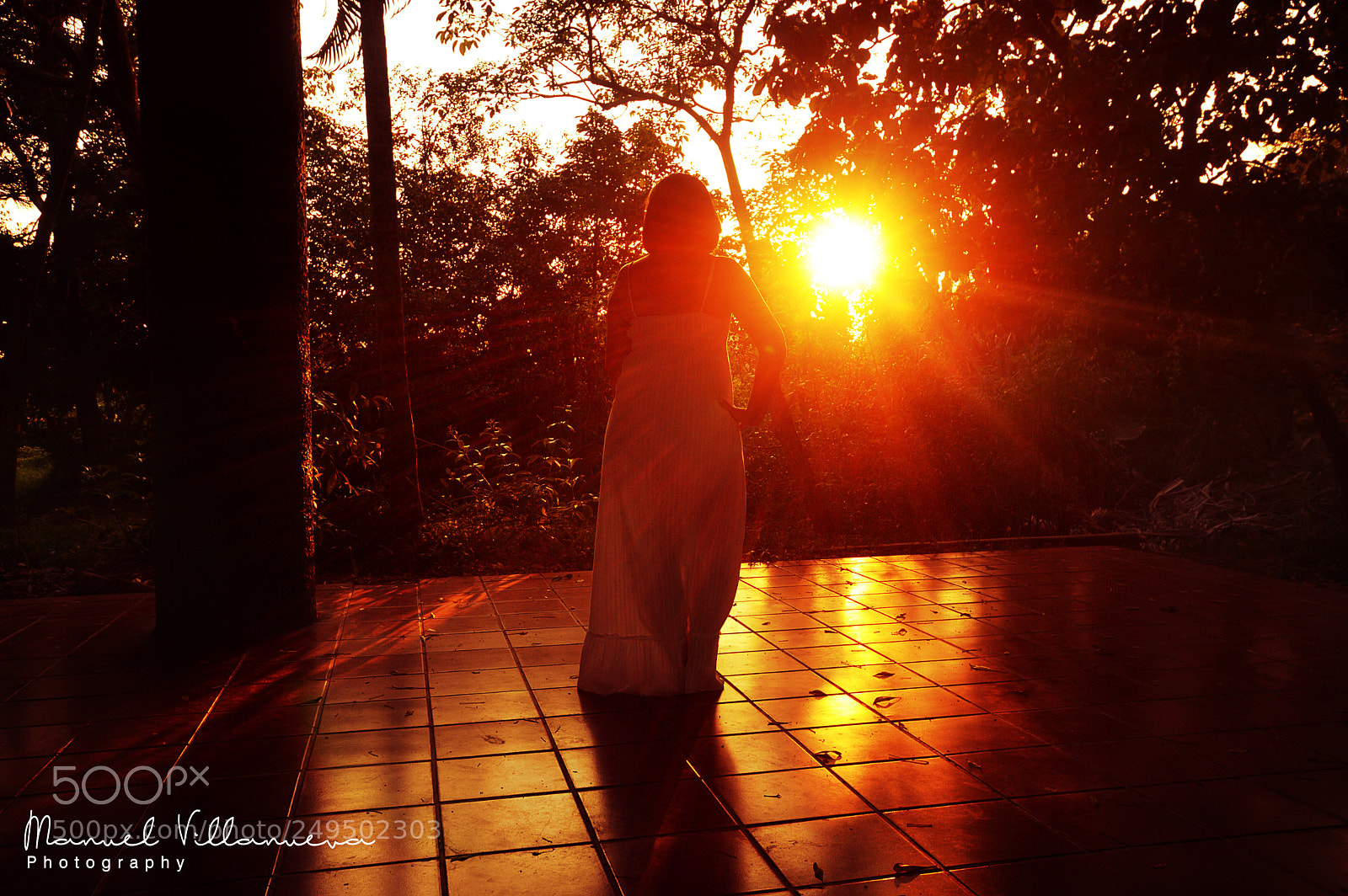 Nikon D3200 sample photo. The power of the photography