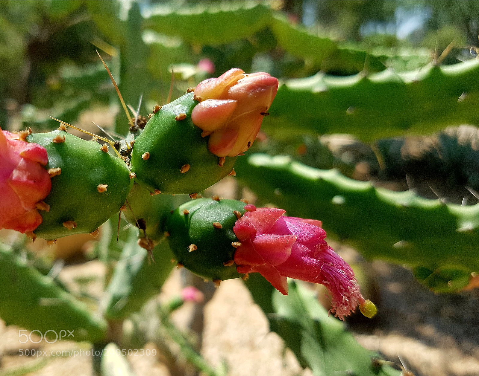 Samsung Galaxy S7 sample photo. Untitled photography