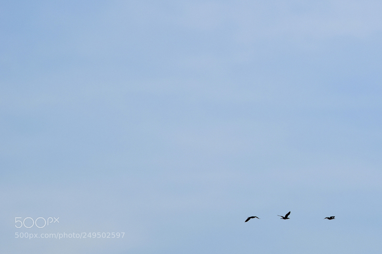 Nikon D5300 sample photo. ... photography