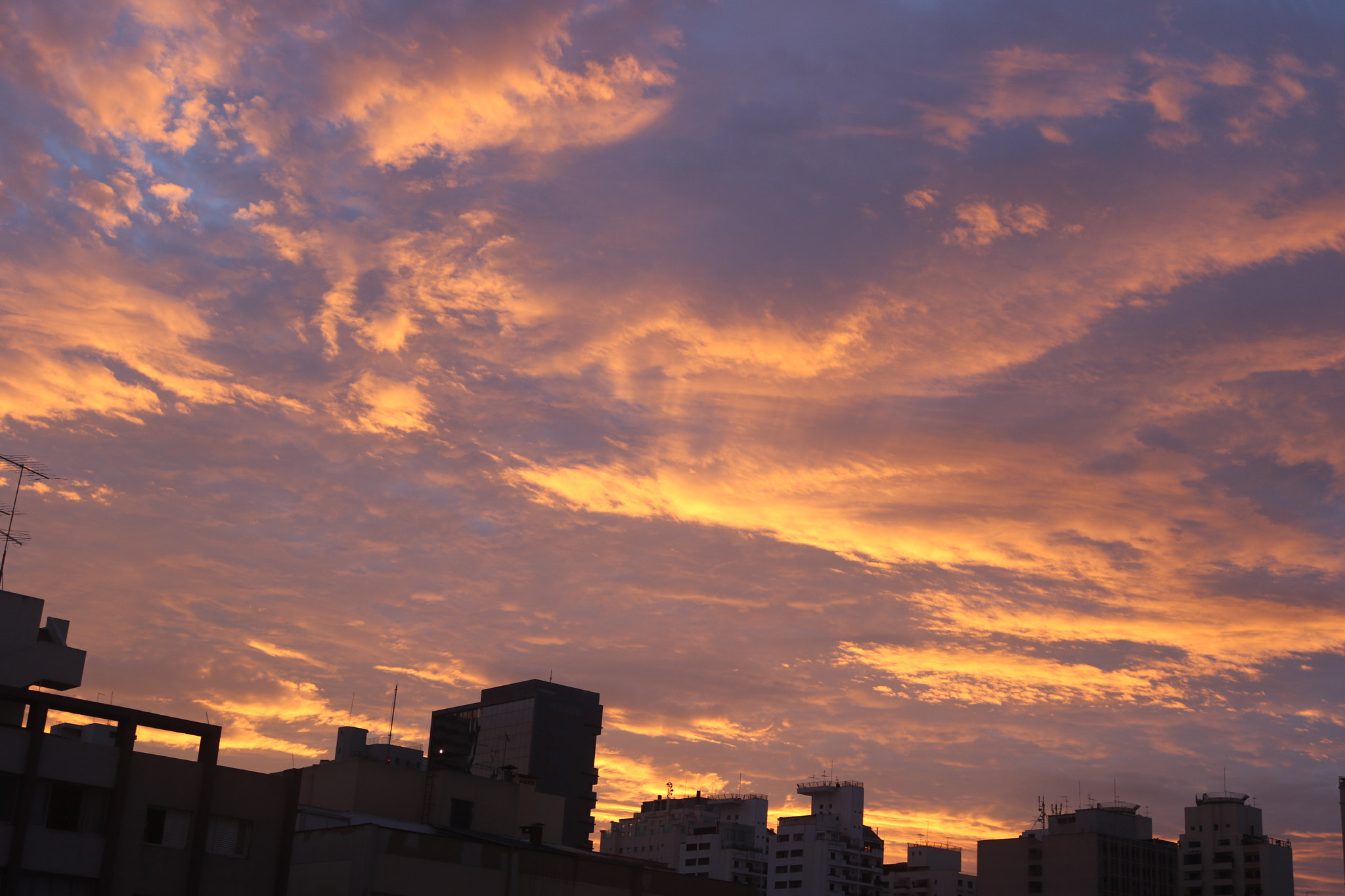 Canon EOS 7D Mark II sample photo. A photography