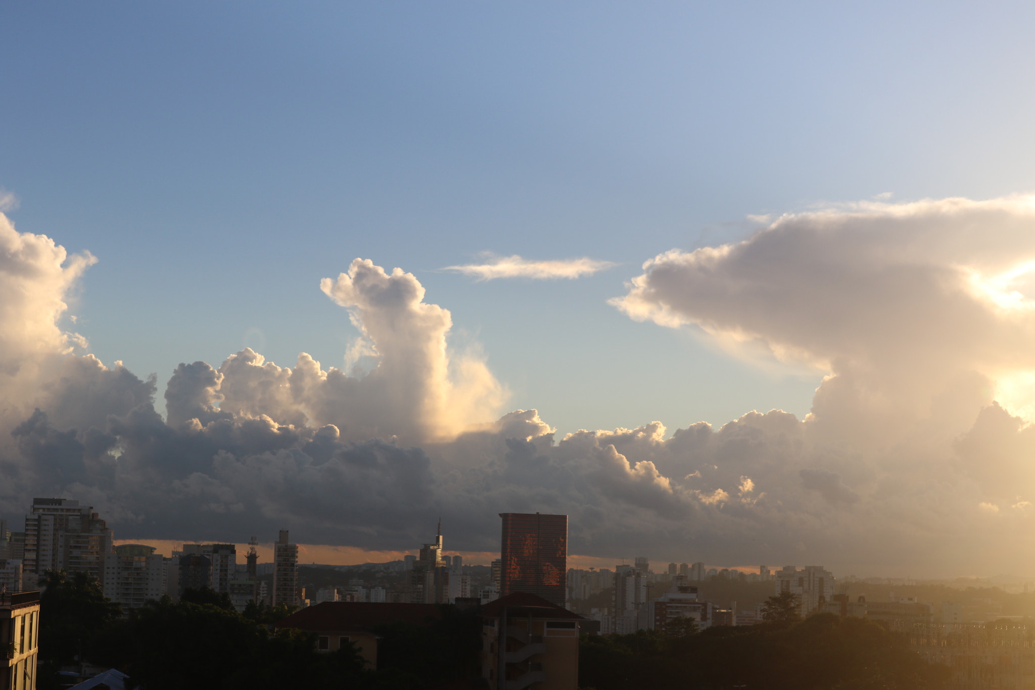 Canon EOS 7D Mark II sample photo. A photography