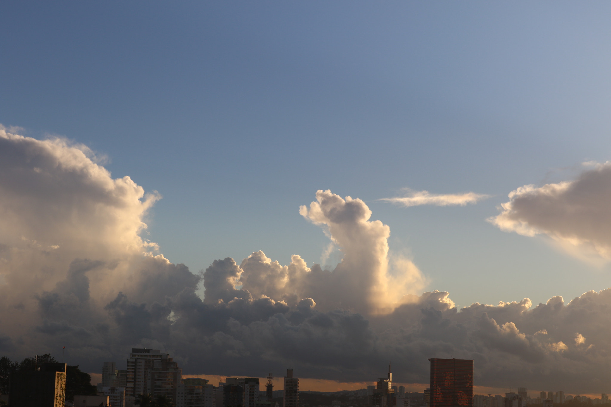 Canon EOS 7D Mark II sample photo. A photography