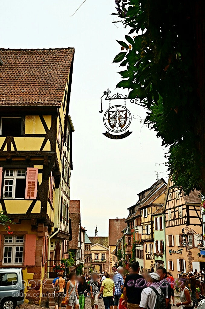 Nikon D5100 sample photo. Alsace (18) photography