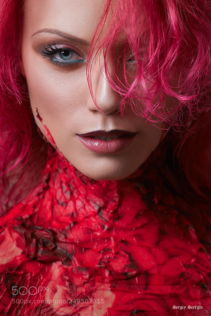 Nikon D3 sample photo. *** photography