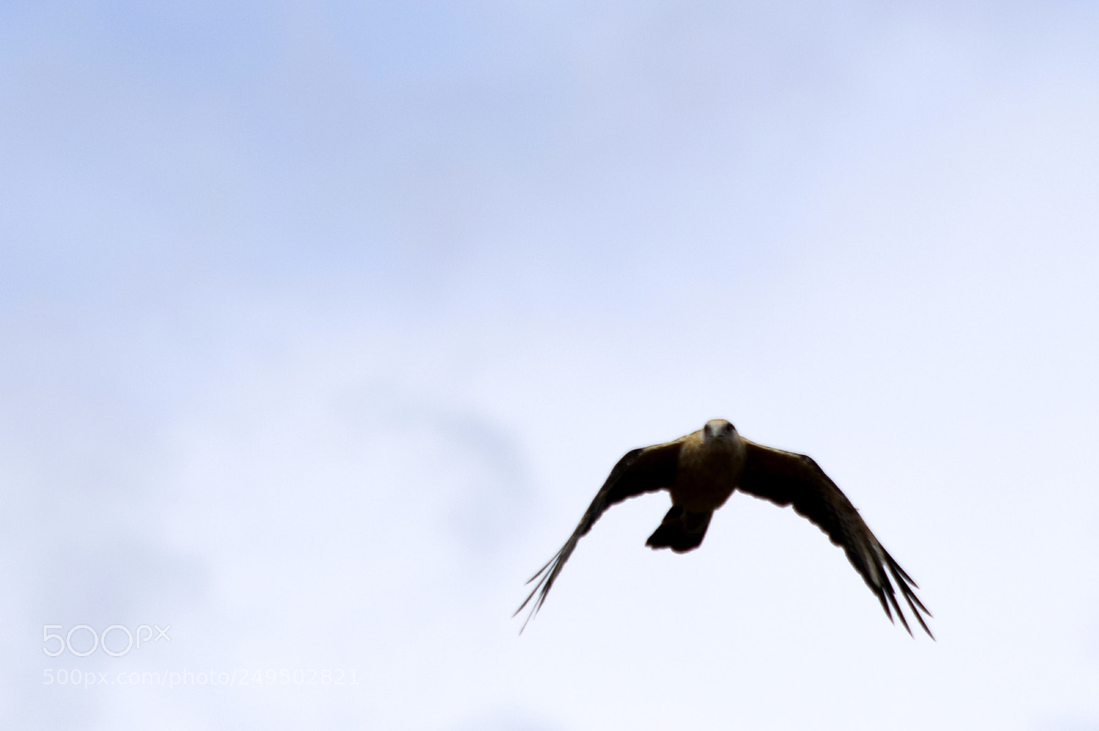 Nikon D5300 sample photo. ✓ ... photography