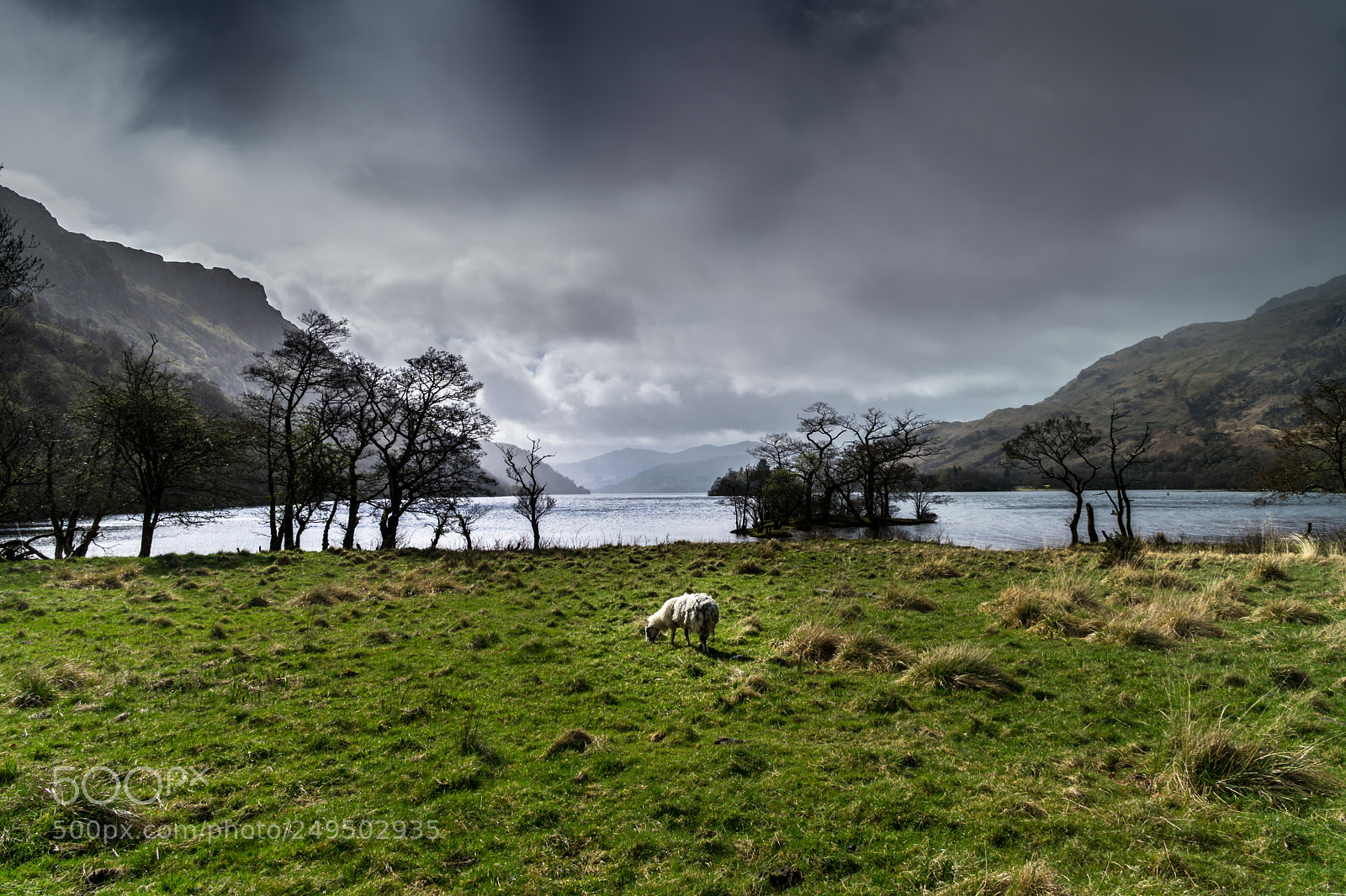 Sony a6000 sample photo. Rainy scotland... photography