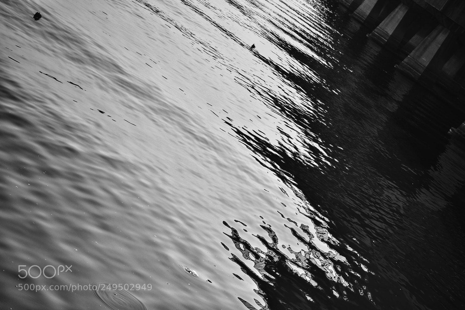 Nikon D3300 sample photo. Flow. photography