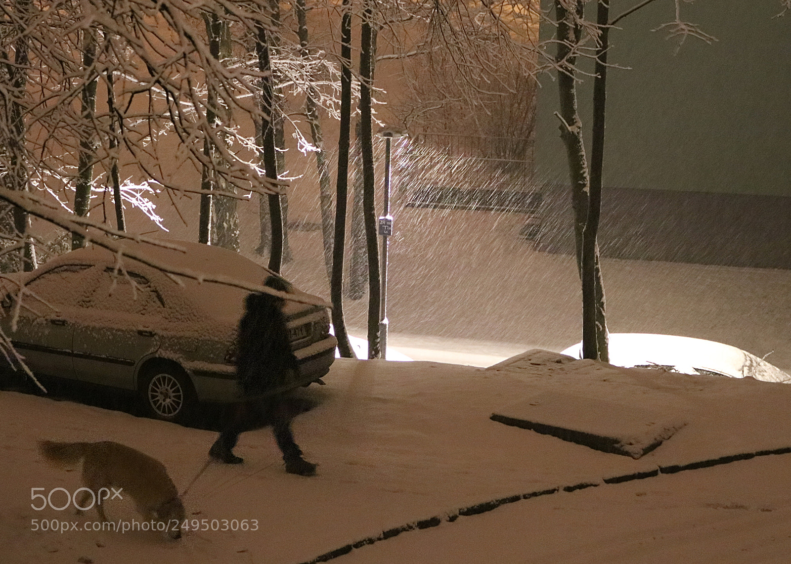 Canon EOS 750D (EOS Rebel T6i / EOS Kiss X8i) sample photo. Evening snow - ve photography