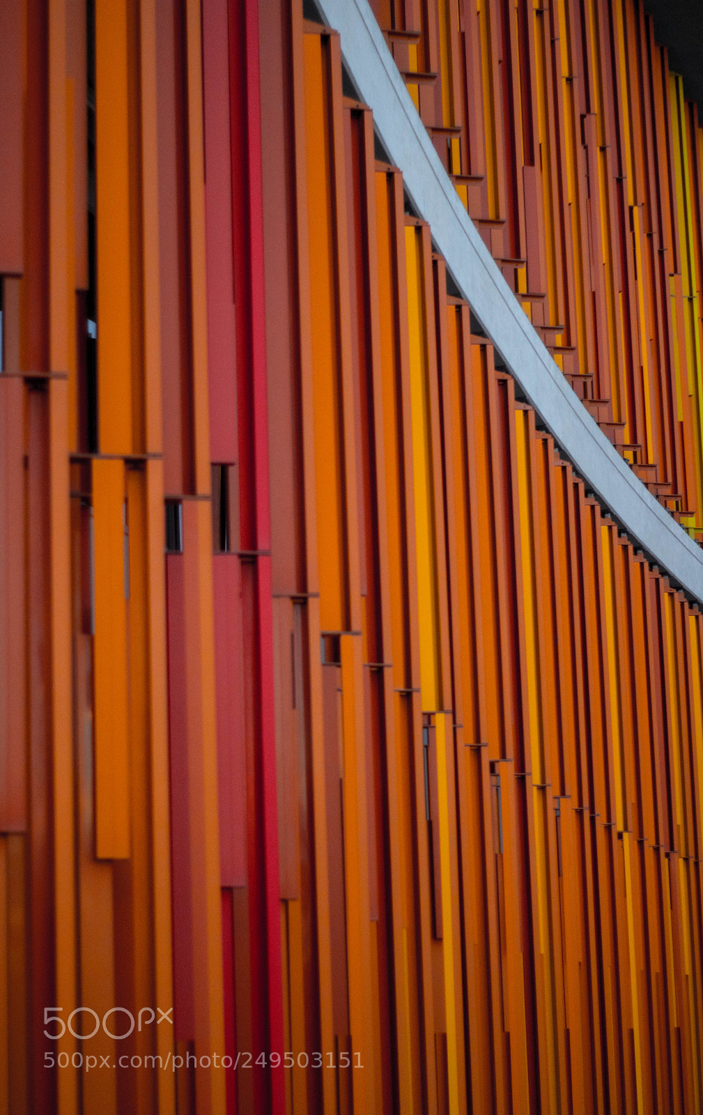 Canon EOS 750D (EOS Rebel T6i / EOS Kiss X8i) sample photo. Orange scale photography