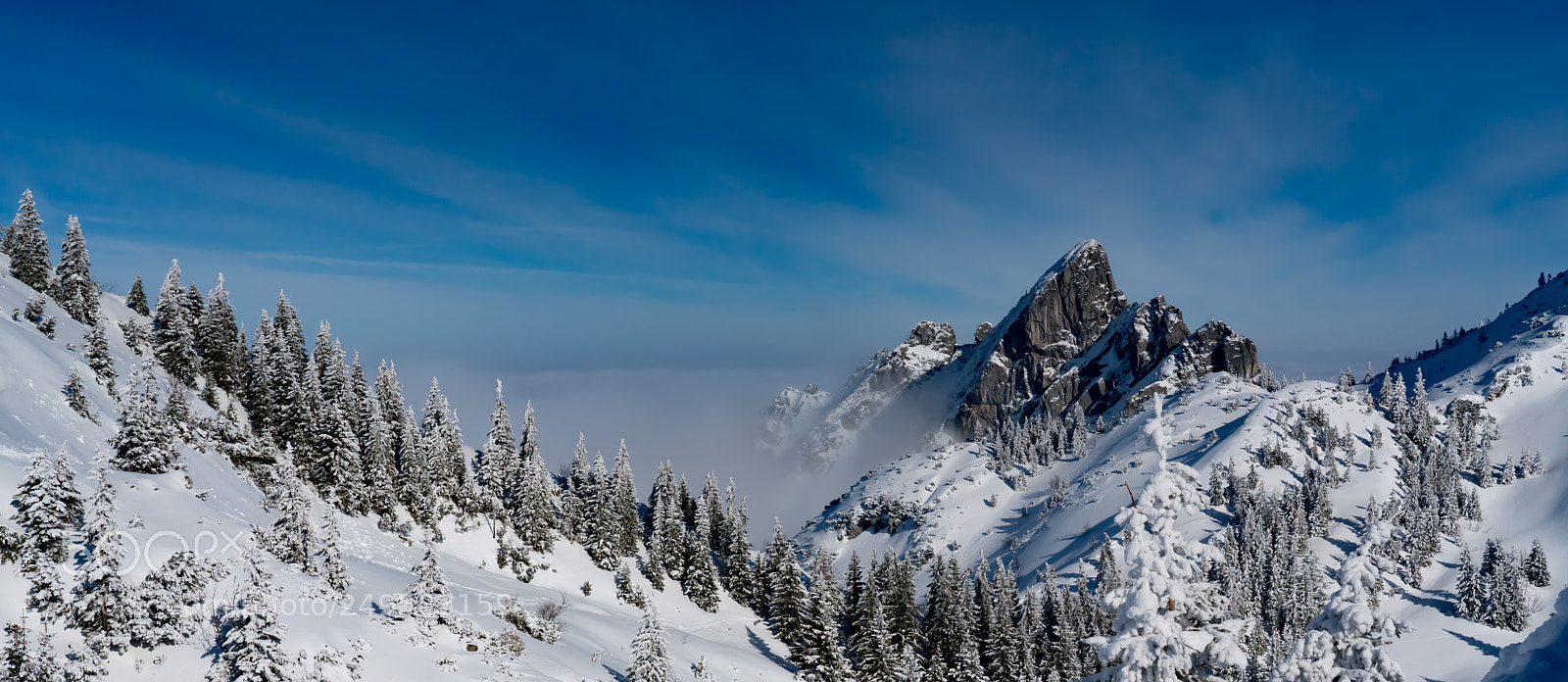 Sony a7R III sample photo. Rotwandhaus photography
