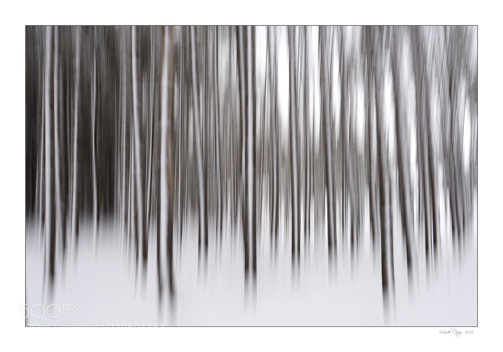 Nikon D810 sample photo. Winter stillness in motion photography