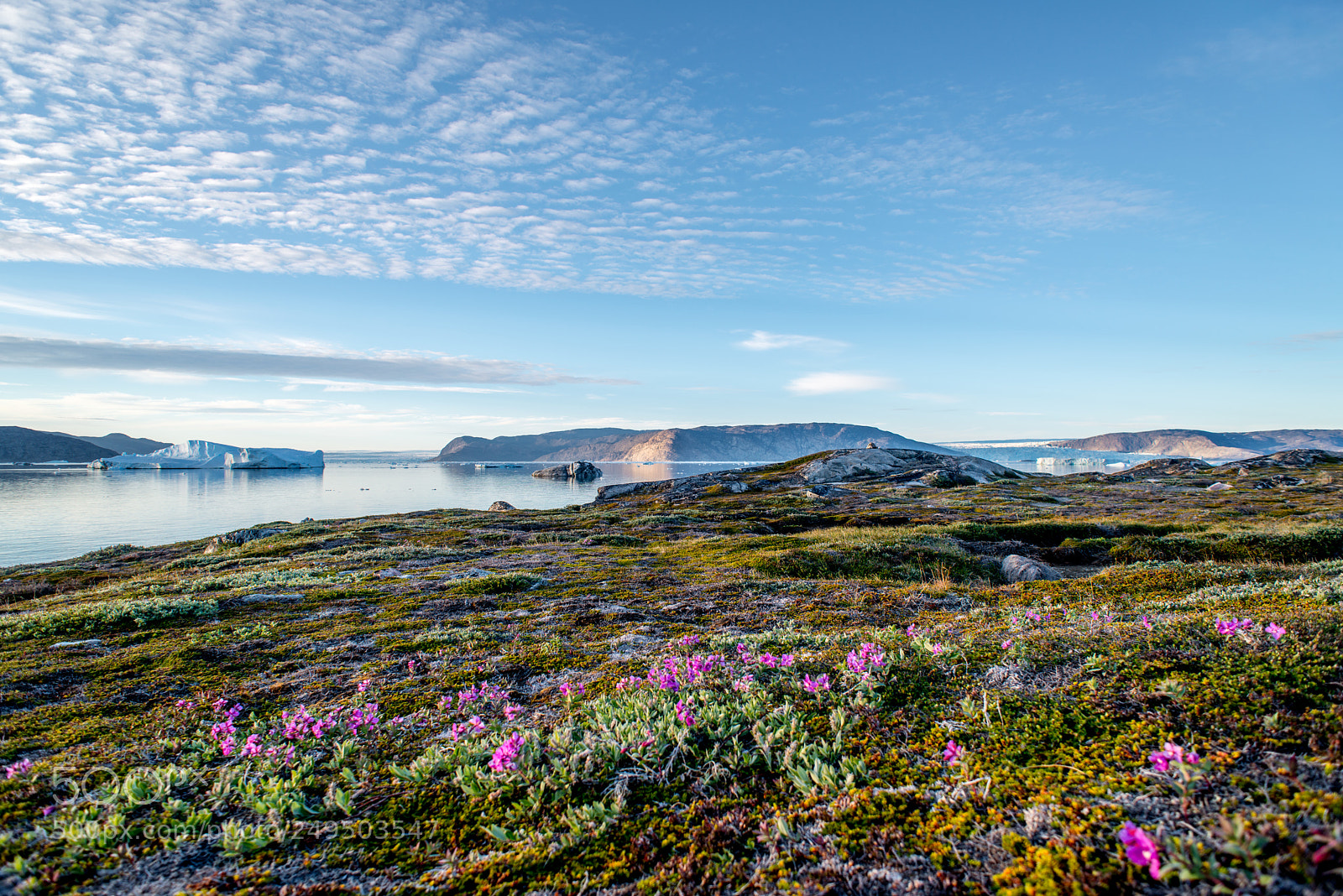 Nikon D800 sample photo. View over two glaciers photography