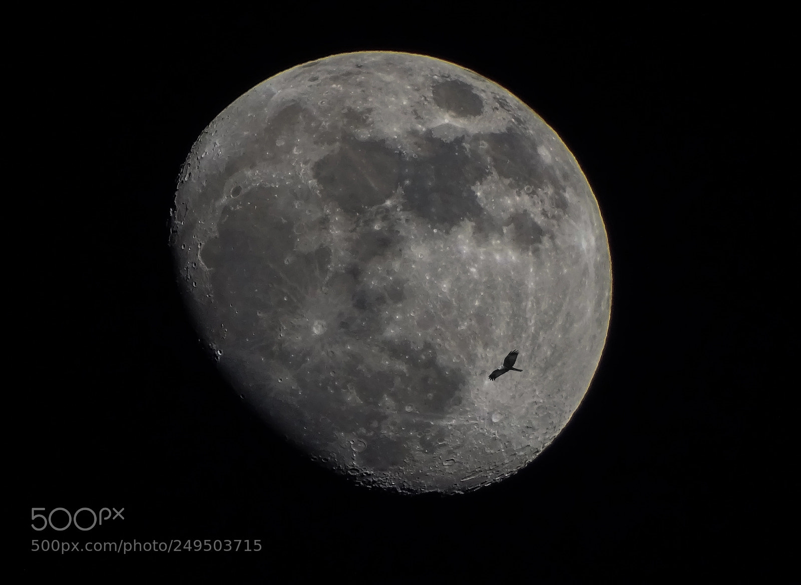 Sony Cyber-shot DSC-HX400V sample photo. Trip to the moon photography