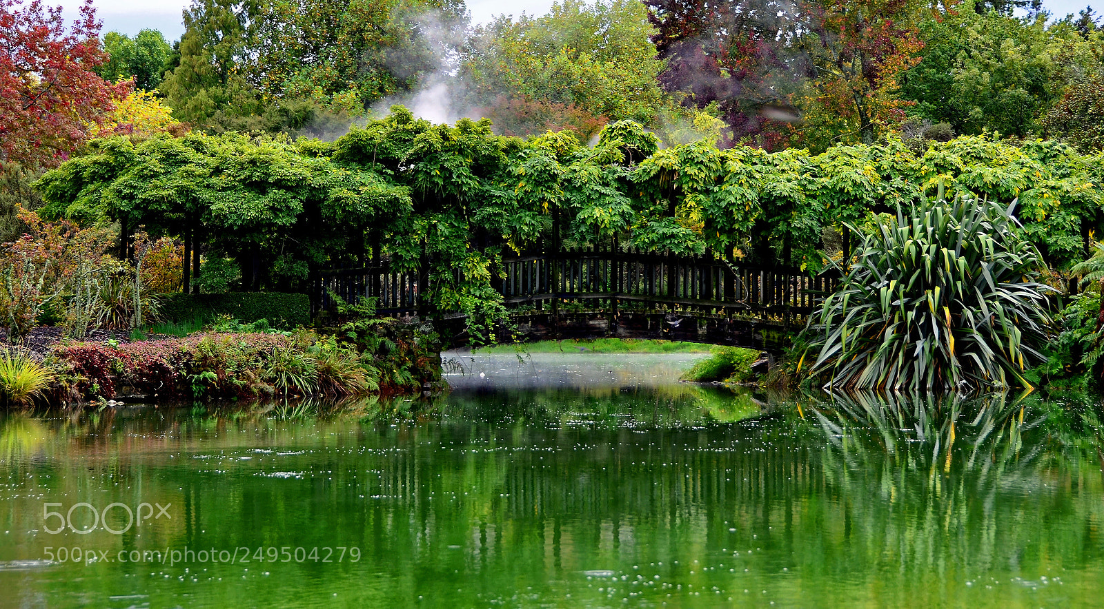 Nikon D5100 sample photo. The bridge photography