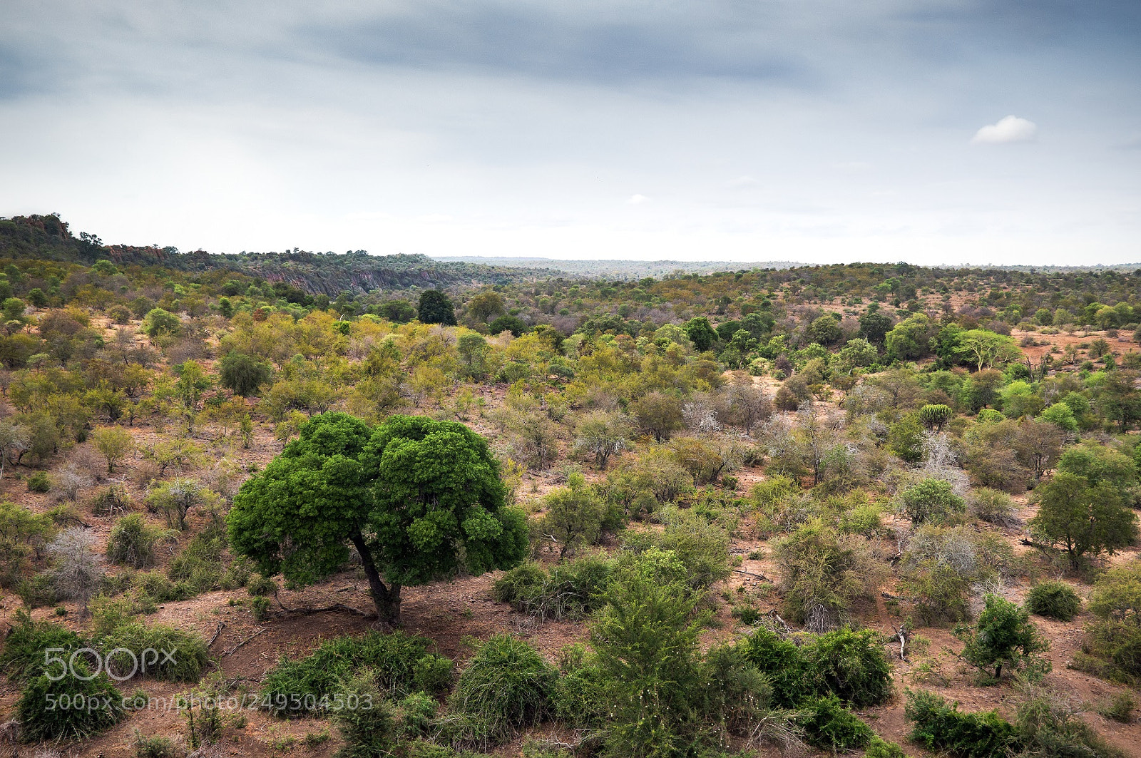 Nikon D3200 sample photo. Vista photography