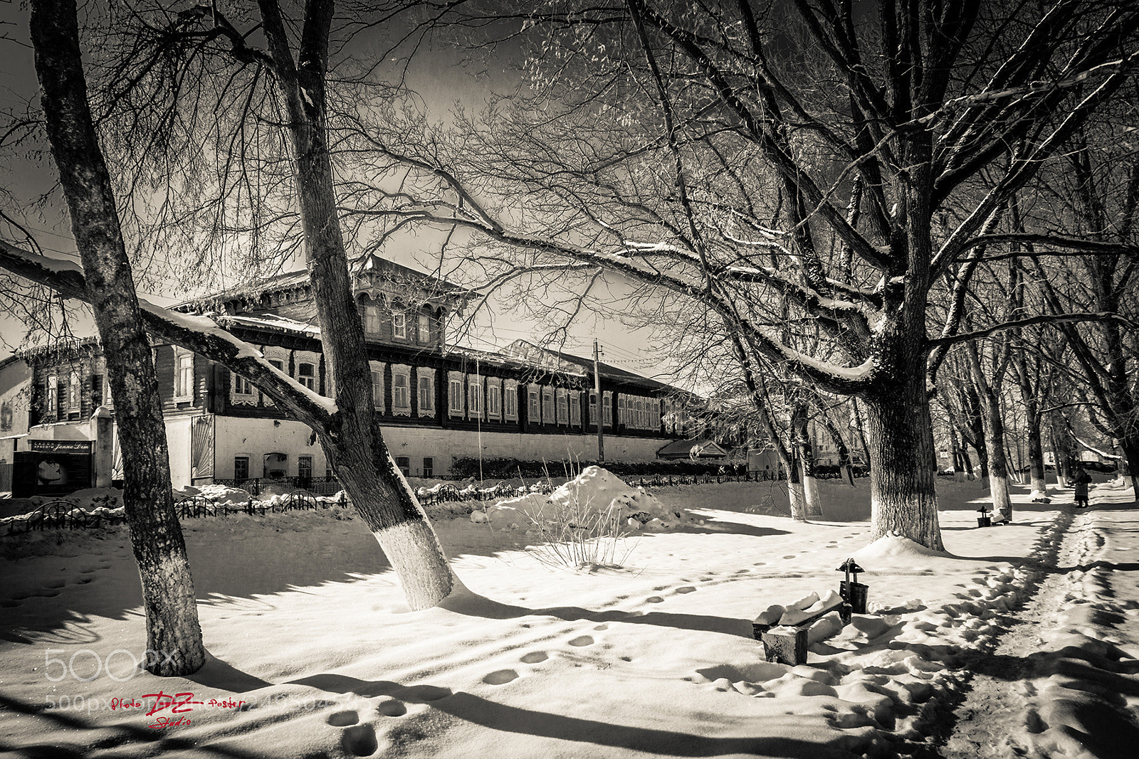 Canon EOS 50D sample photo. Long house with oak photography