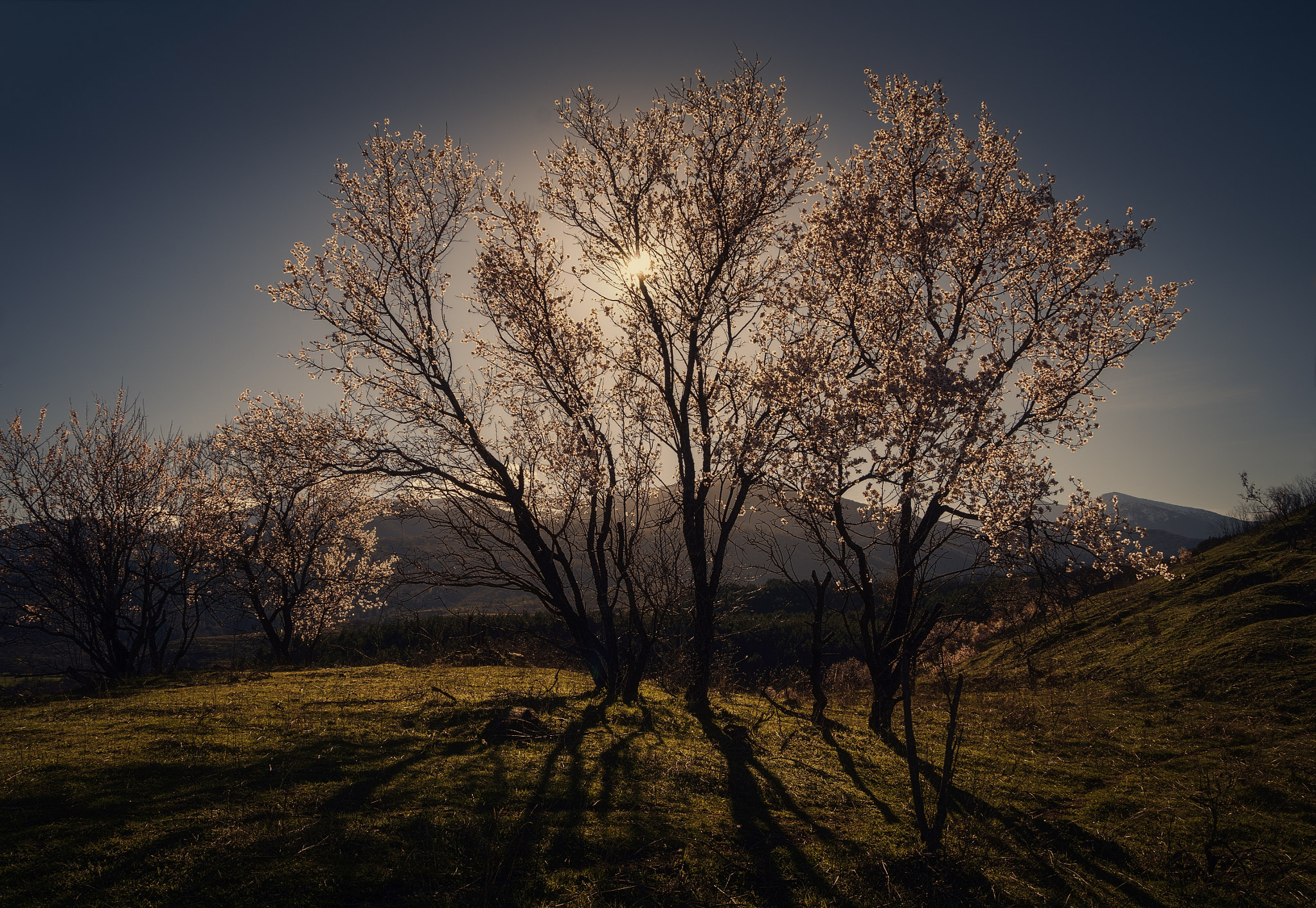 Pentax K-01 sample photo. Welcome spring photography