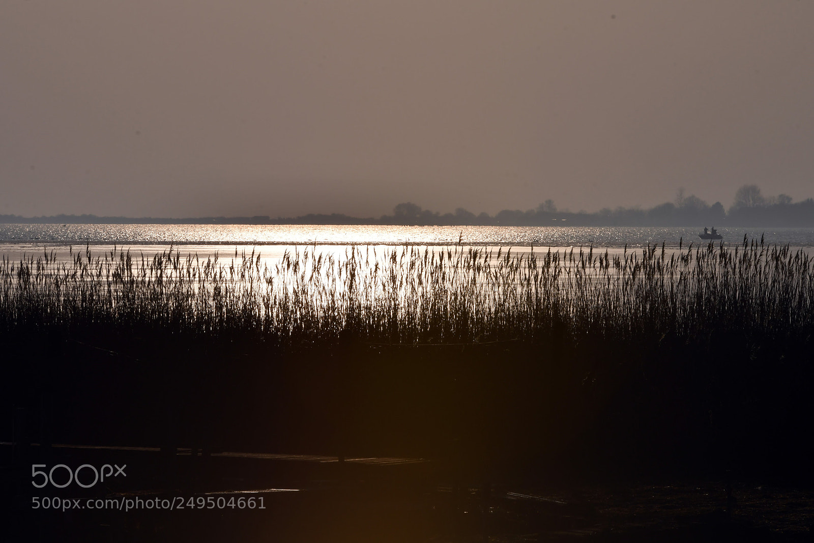 Nikon D500 sample photo. Lichtspiele photography