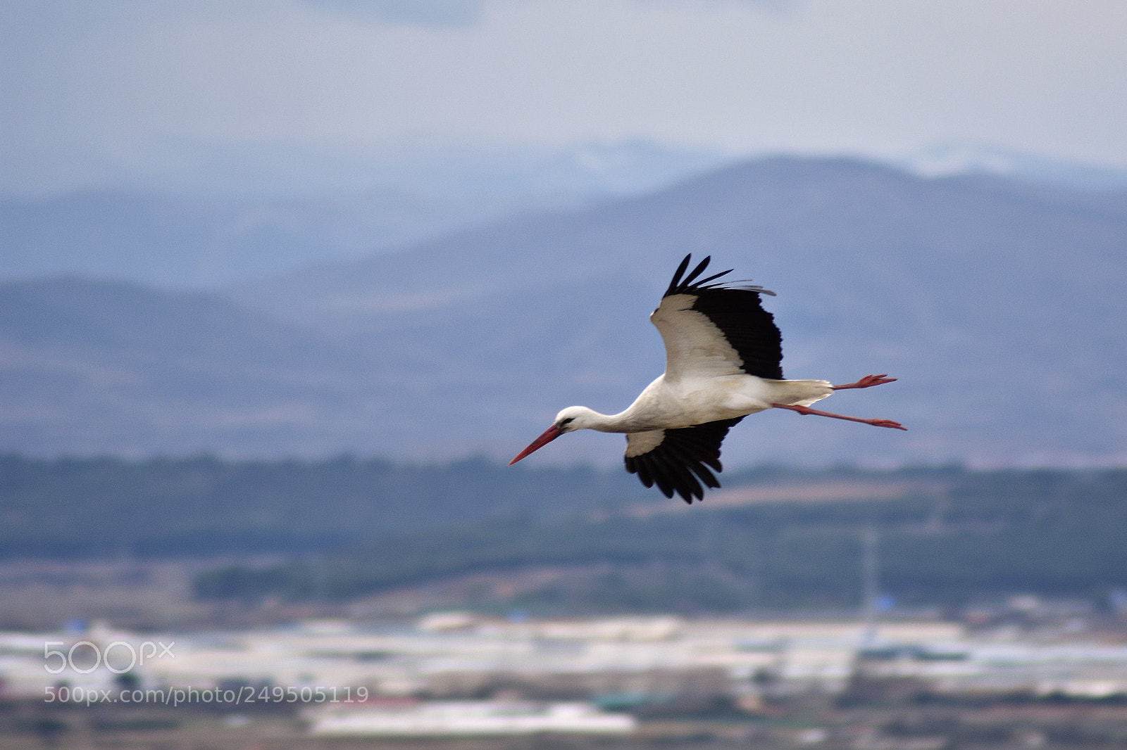 Nikon D7200 sample photo. Habitante photography
