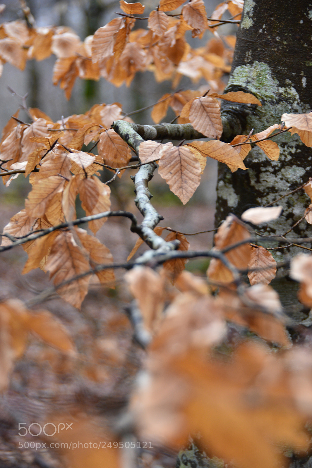 Nikon D7200 sample photo. Toma mi mano photography