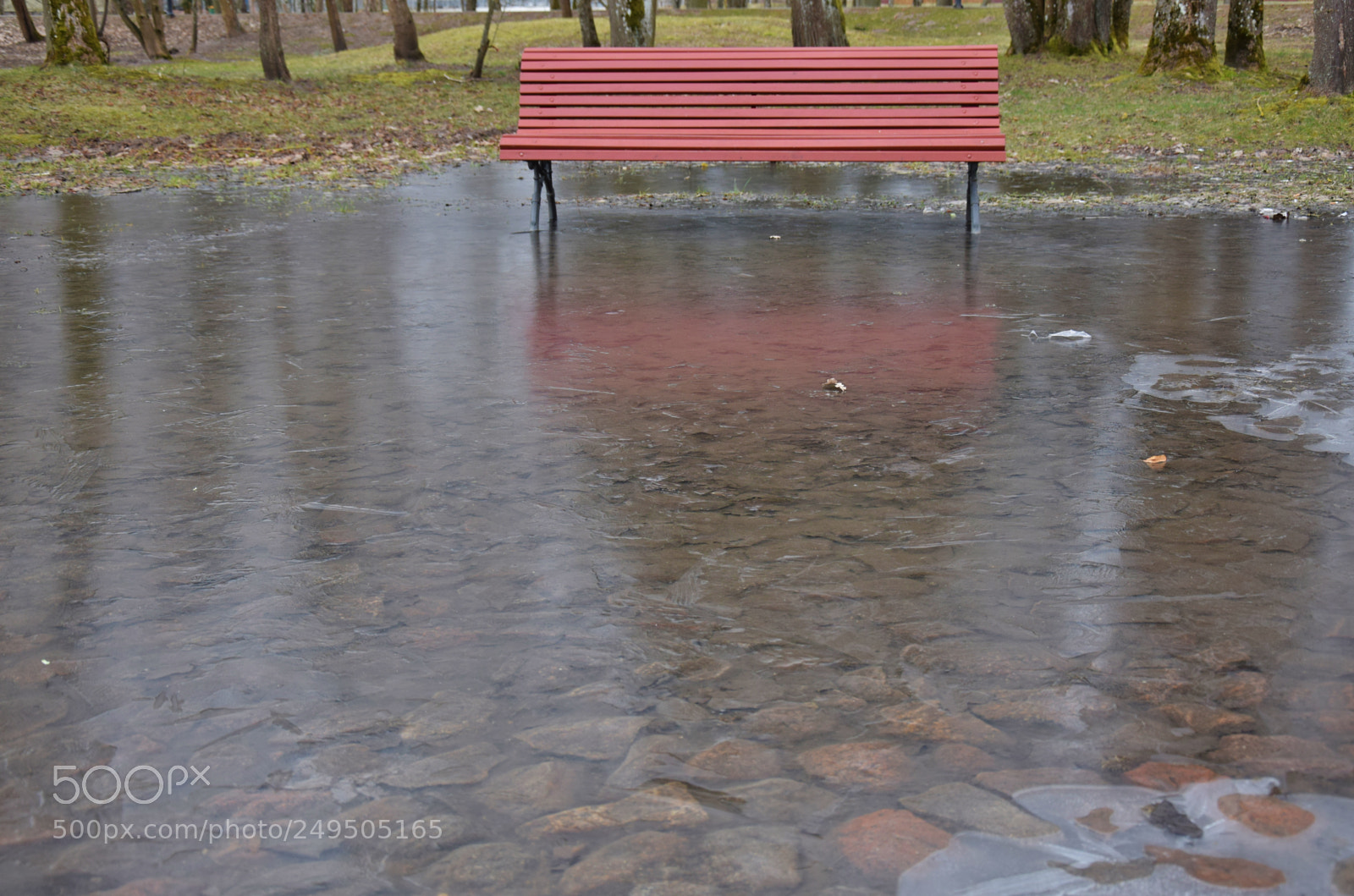 Nikon D3300 sample photo. Untitled photography