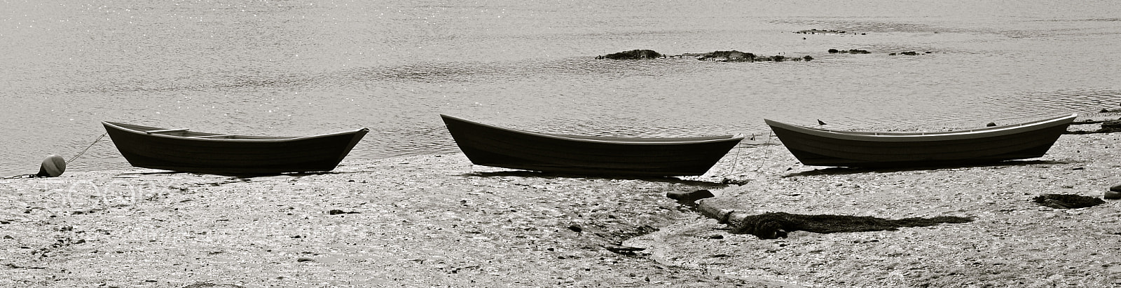 Nikon D7000 sample photo. Three boats photography