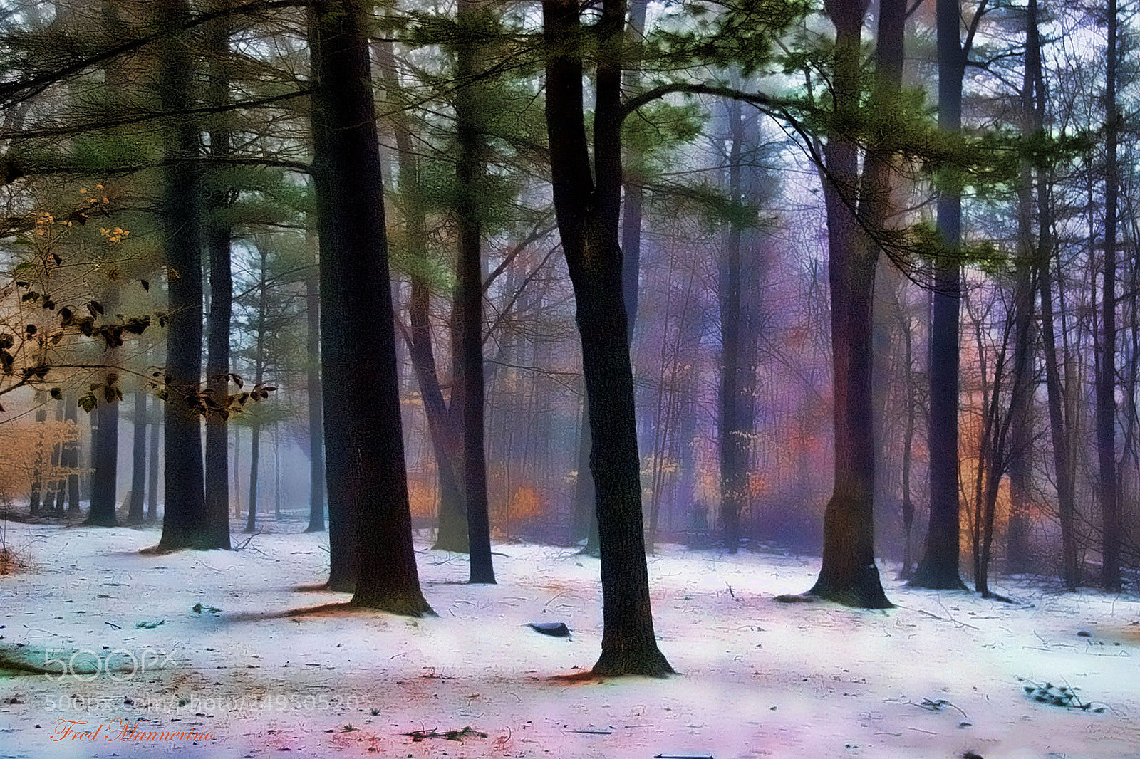 Nikon D80 sample photo. Dawn in sherwood photography