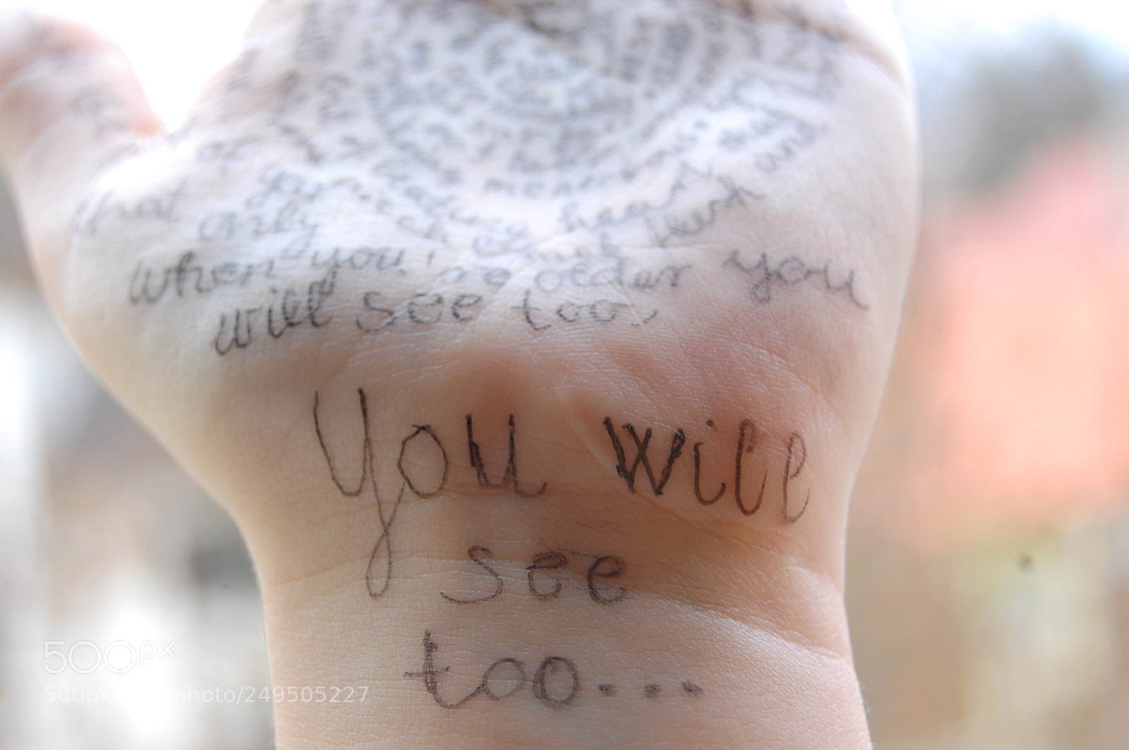 Nikon D40 sample photo. ... photography