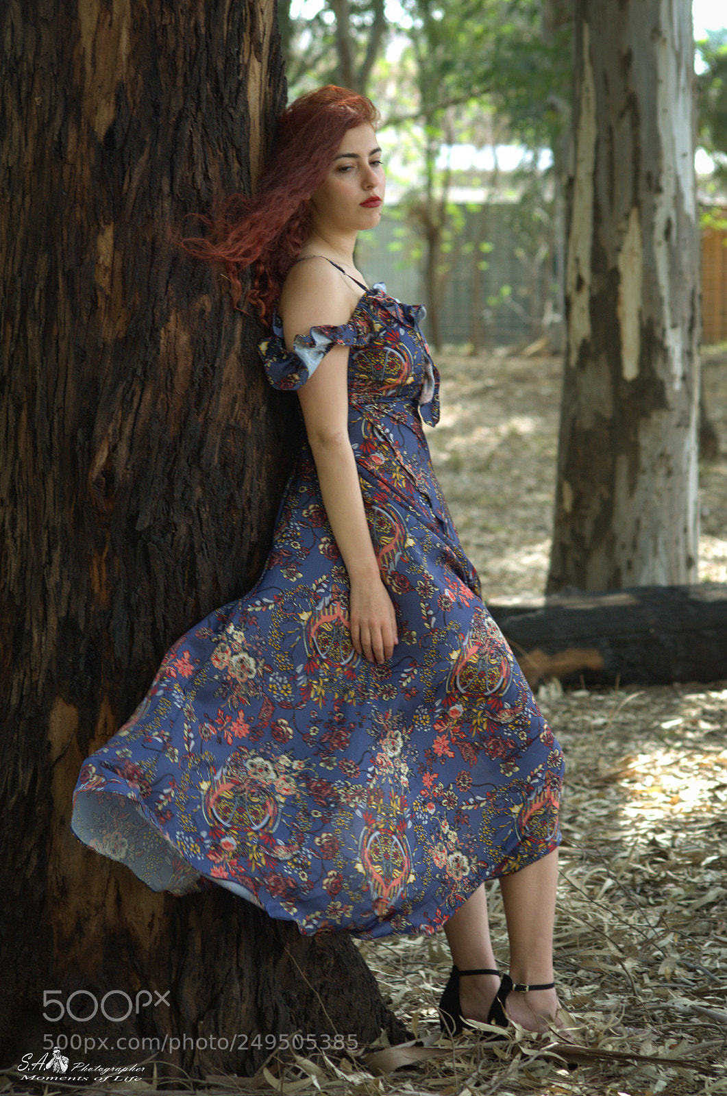 Nikon D7000 sample photo. Nofar photography